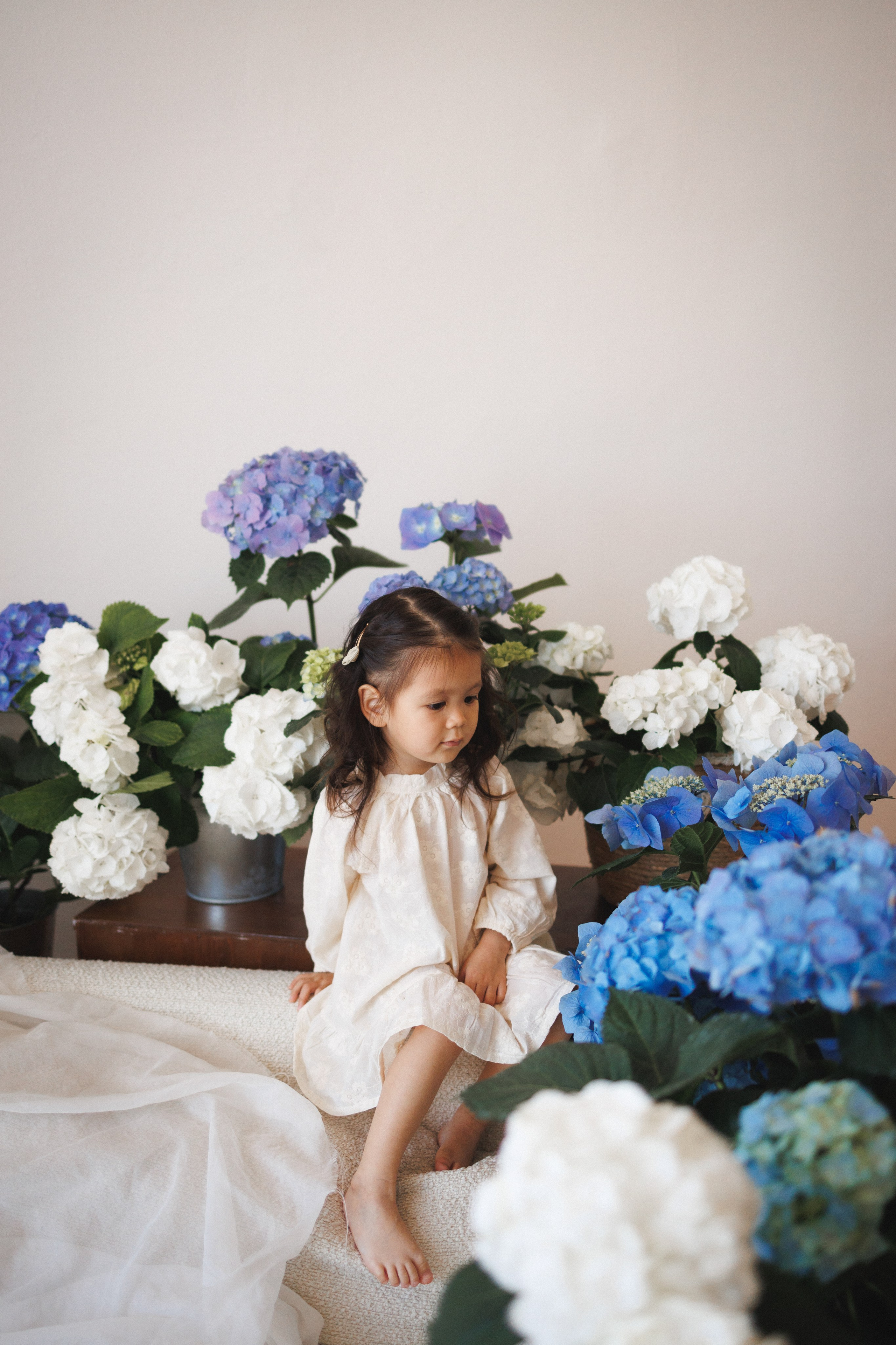 Фотосессия с живыми цветами Гортензии в фотостудии Space JOBS, город Краснодар. Семейный и детский фотограф в Краснодаре Анна Трашкова