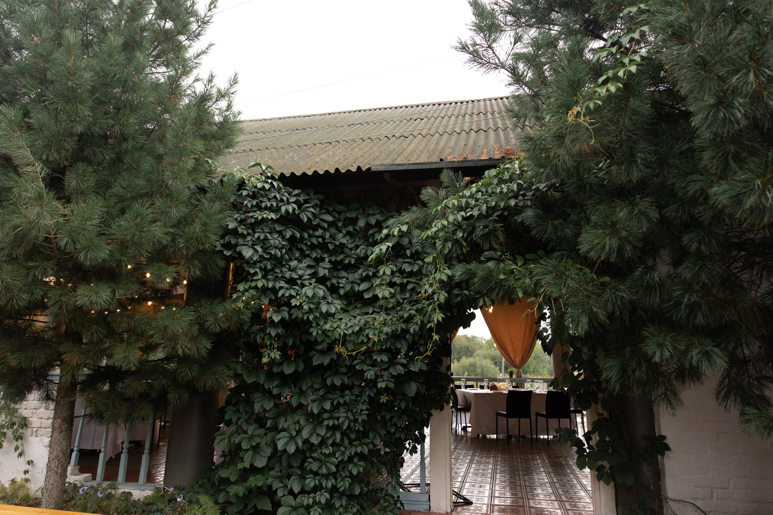 Wedding. Главная