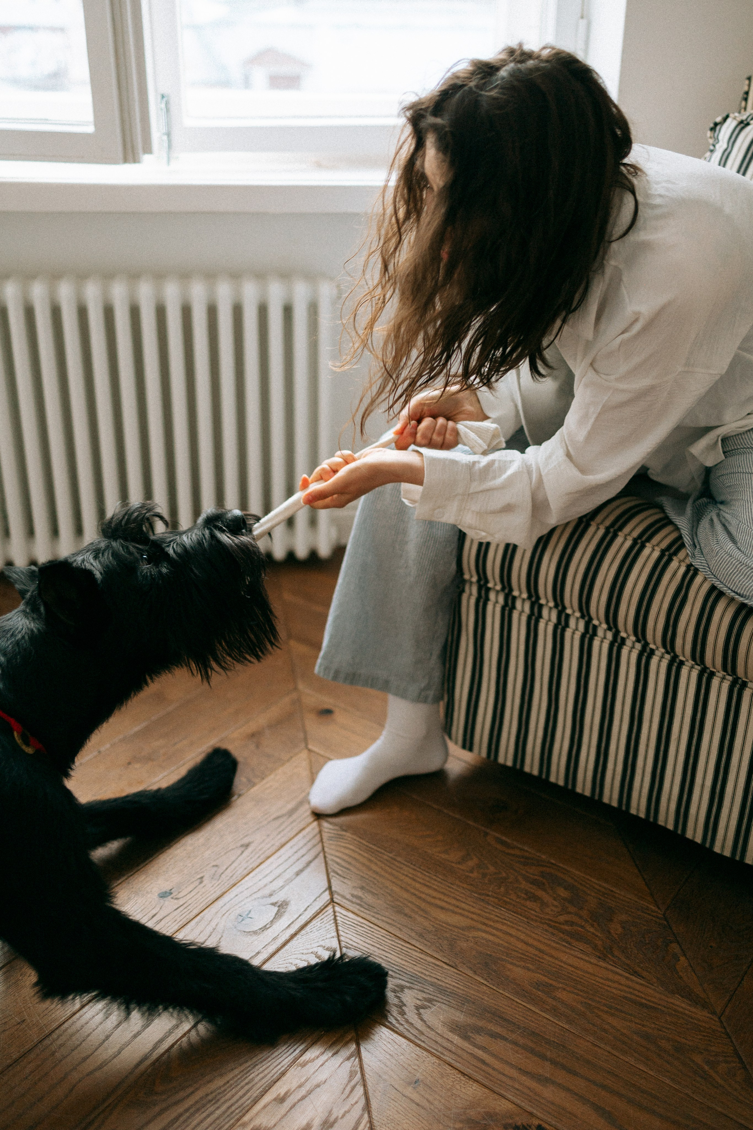 Умбра и Даша. Фотограф анималист Анастасия Пикей