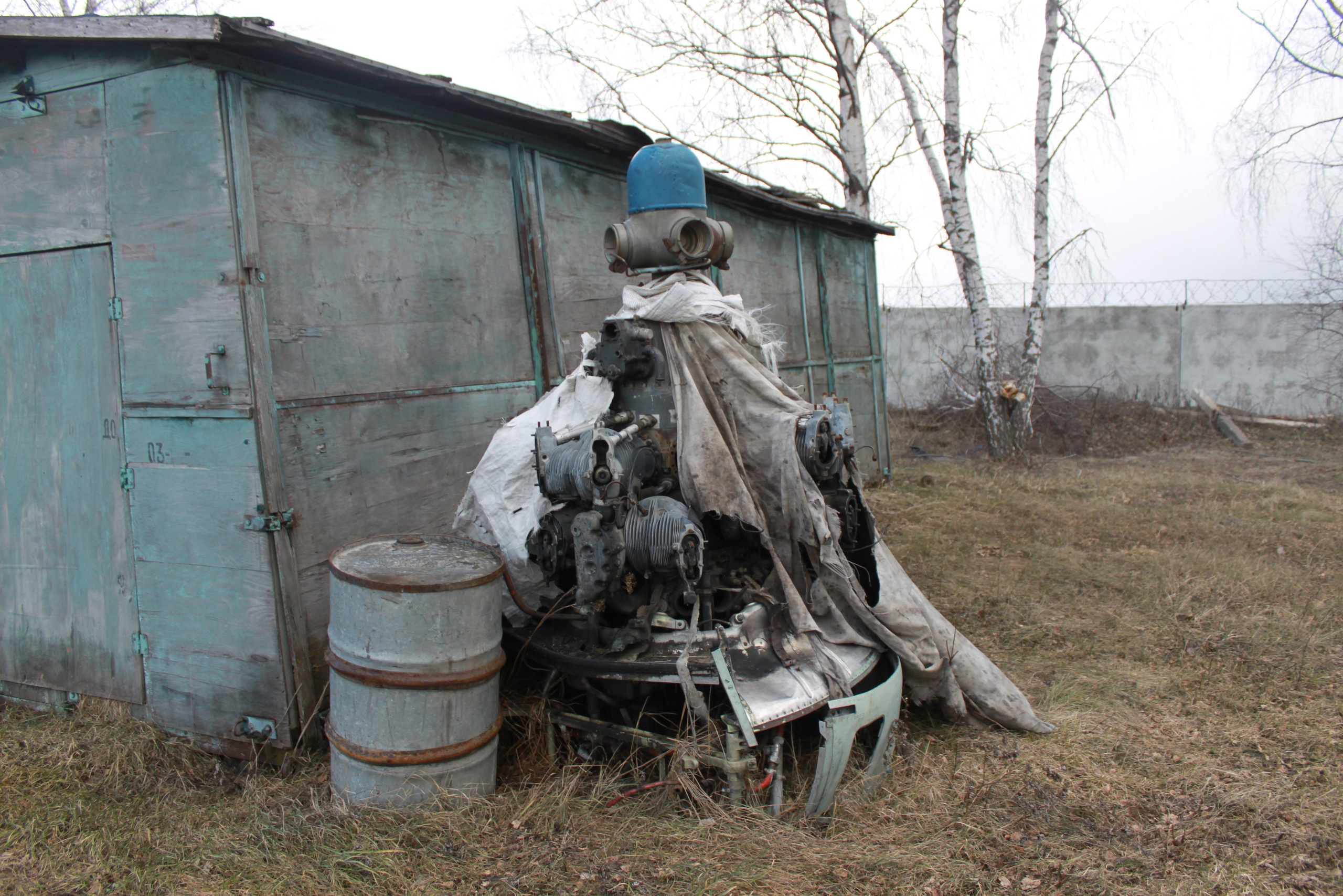 Ил-14Т «Голубая Мечта» работы в Тушино (2011 г.). Фотоальбом показывающий увлекательный мир авиации и мир медведей Андрея Иванова