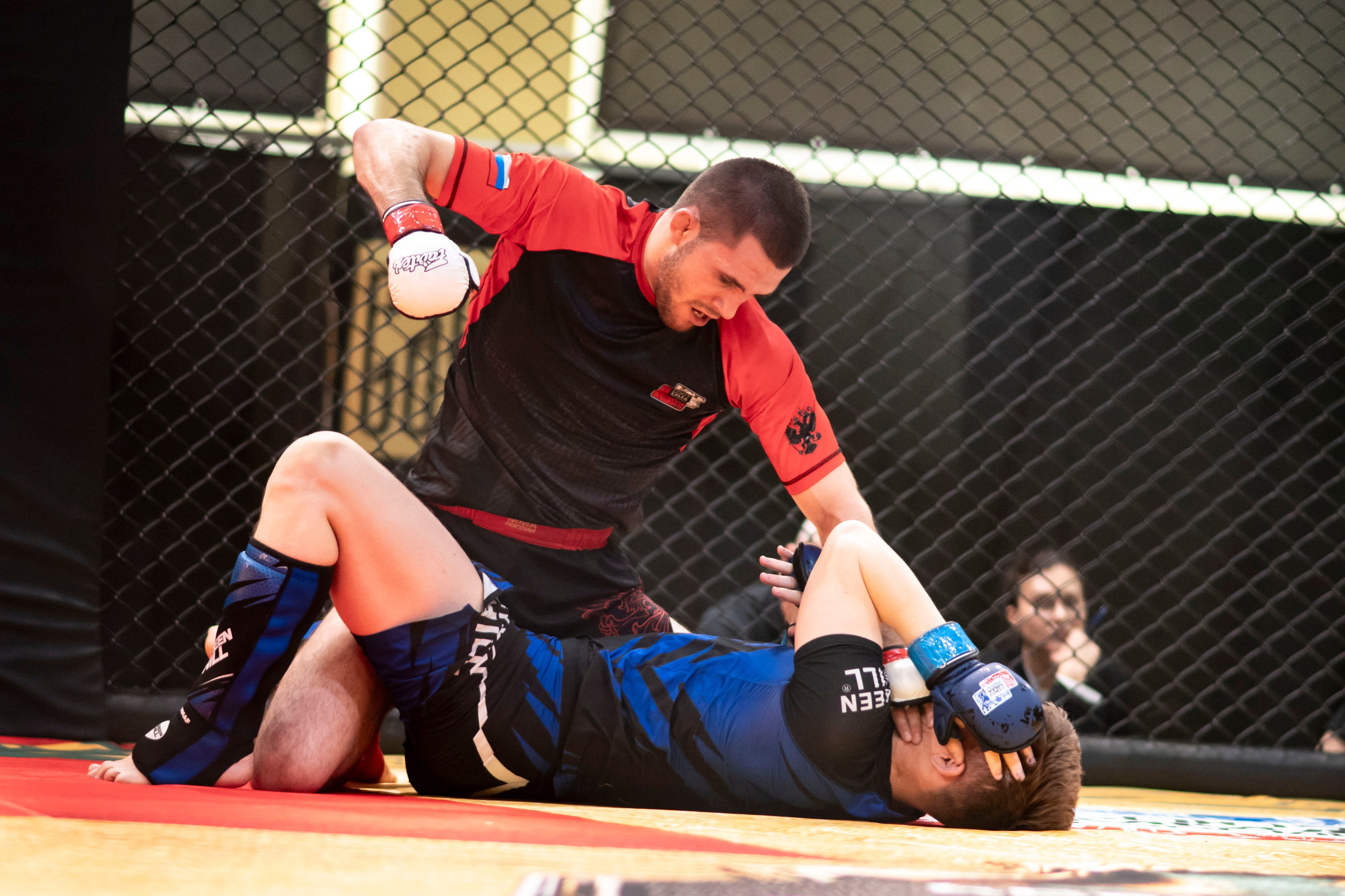 Всероссийский турнир ММА. Новомосковск, ноябрь 2025. Спортивный фотограф в Туле и Тульской области. Файсханова Фото Спорт