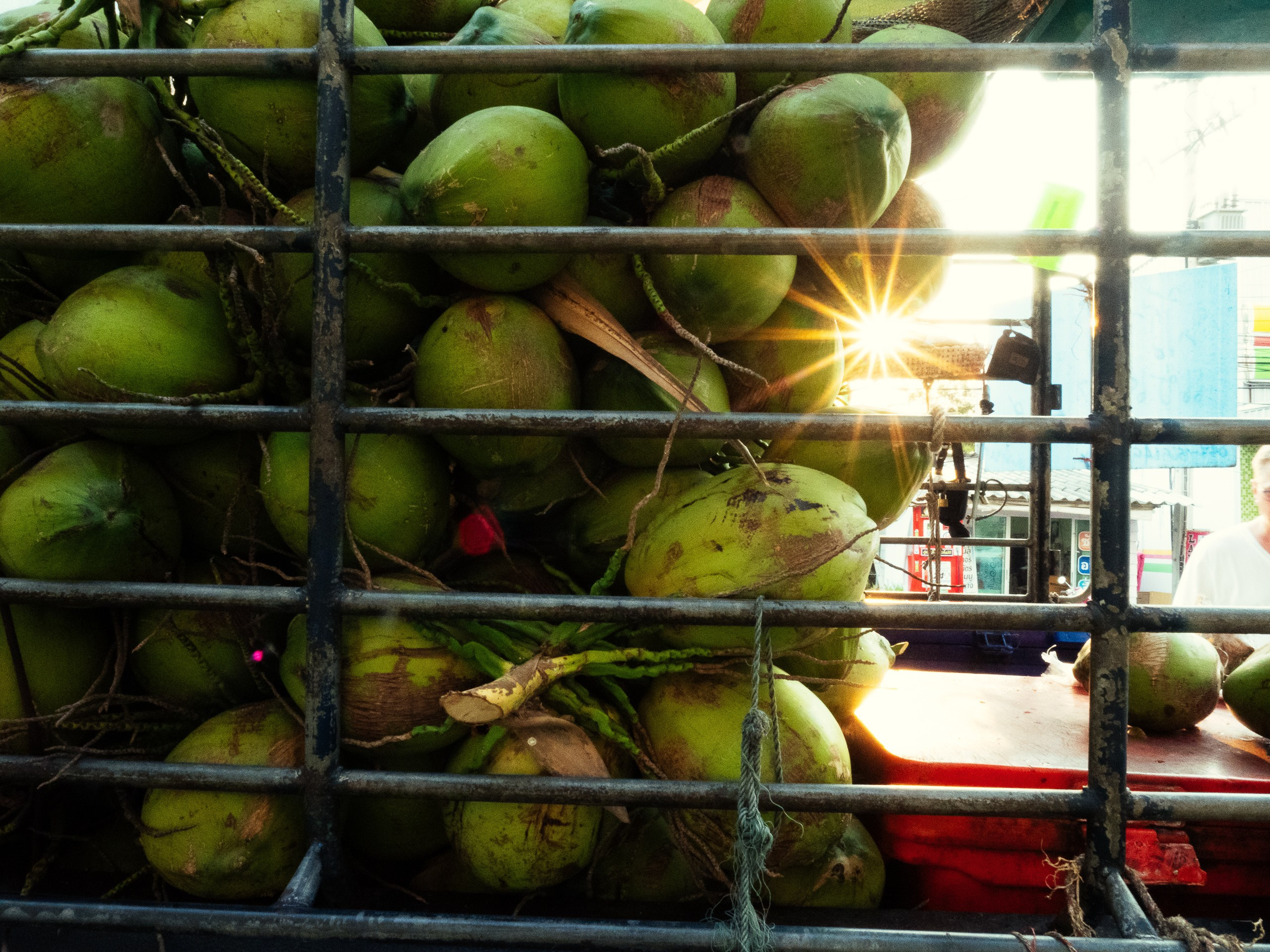 Тайланд. Фотограф в Москве