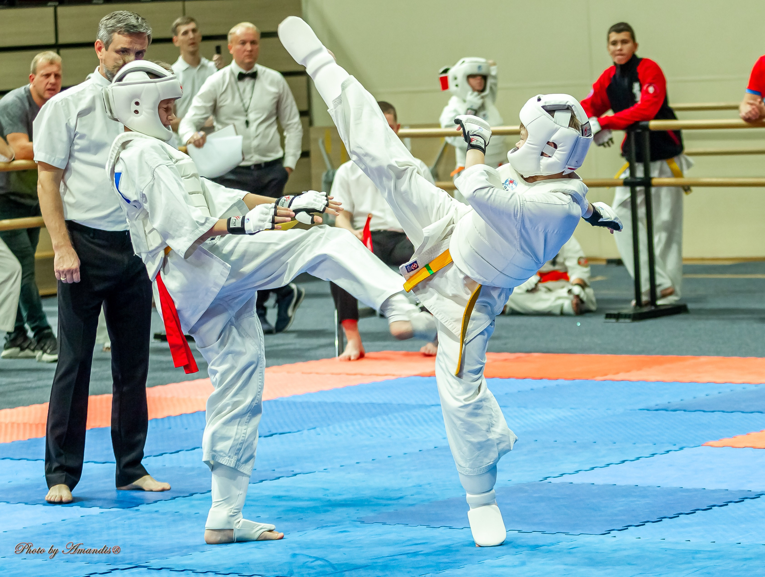 Первенство Московской области по Киокушин в СК «Жаворонки». Репортажная съемка в Москве и области. Анималистика