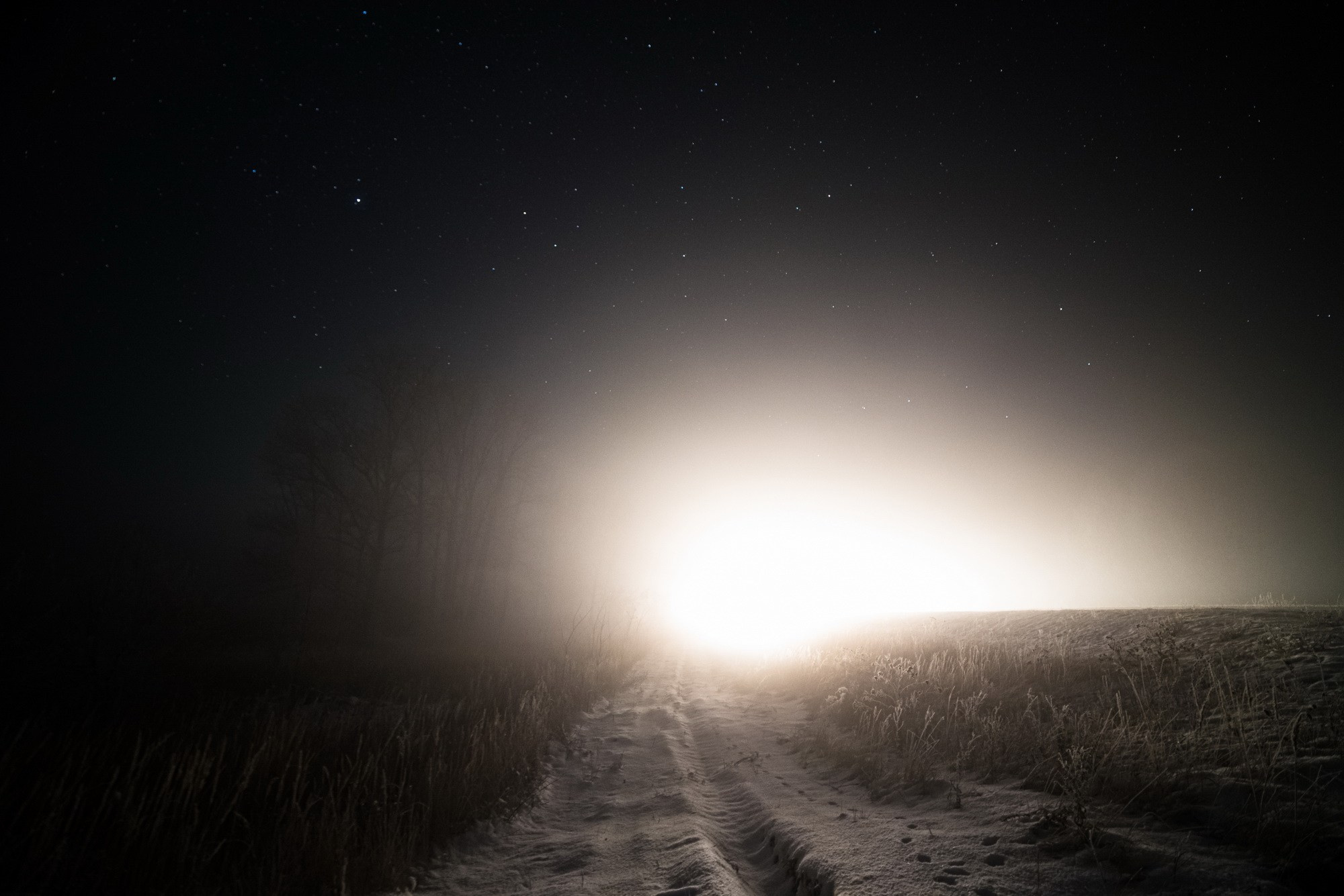 Синдром предков. Наталия Шульгина — визуальный художник, фотограф