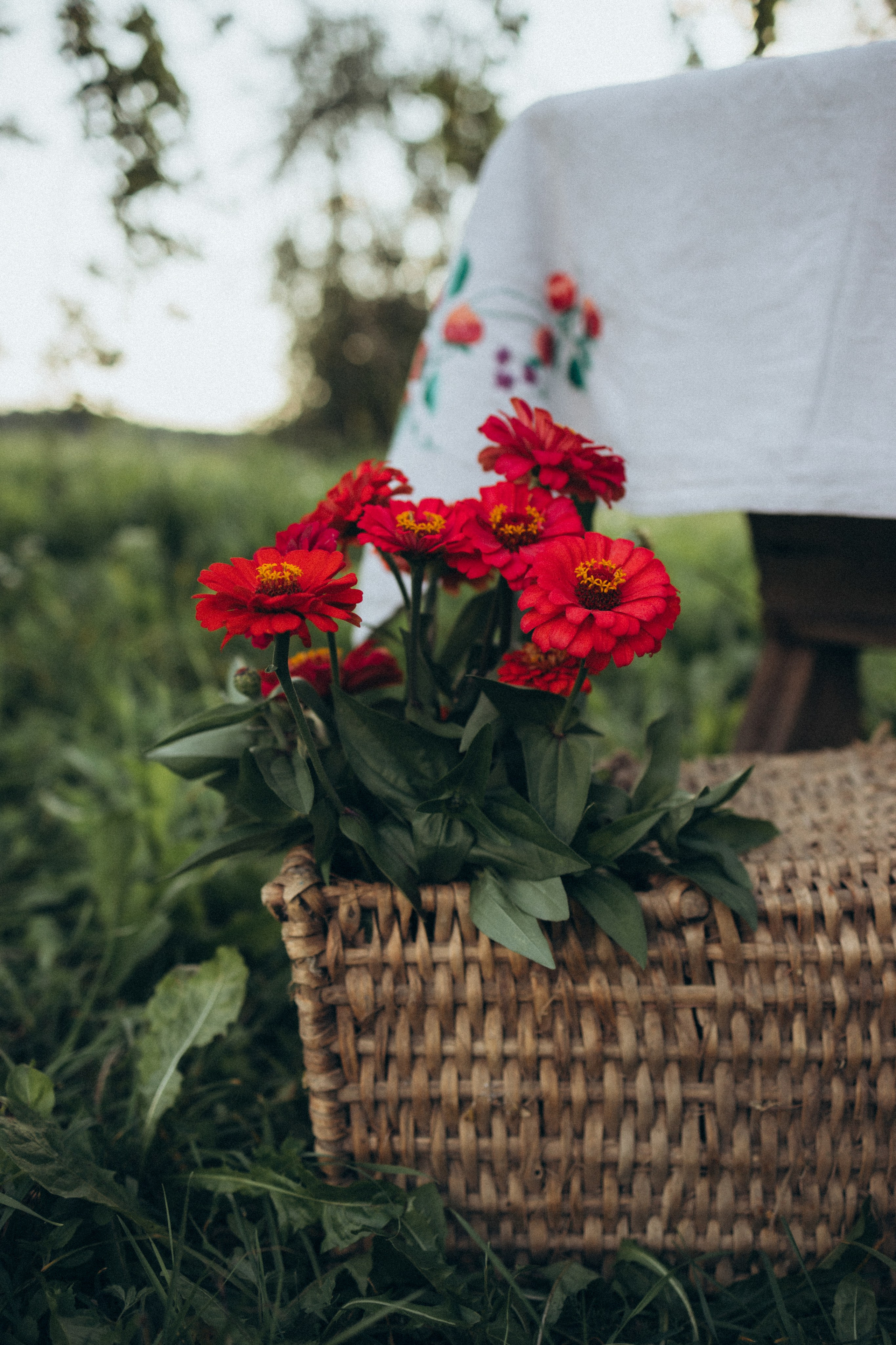 Чаепитие в саду. Фотограф Елена Рябцева