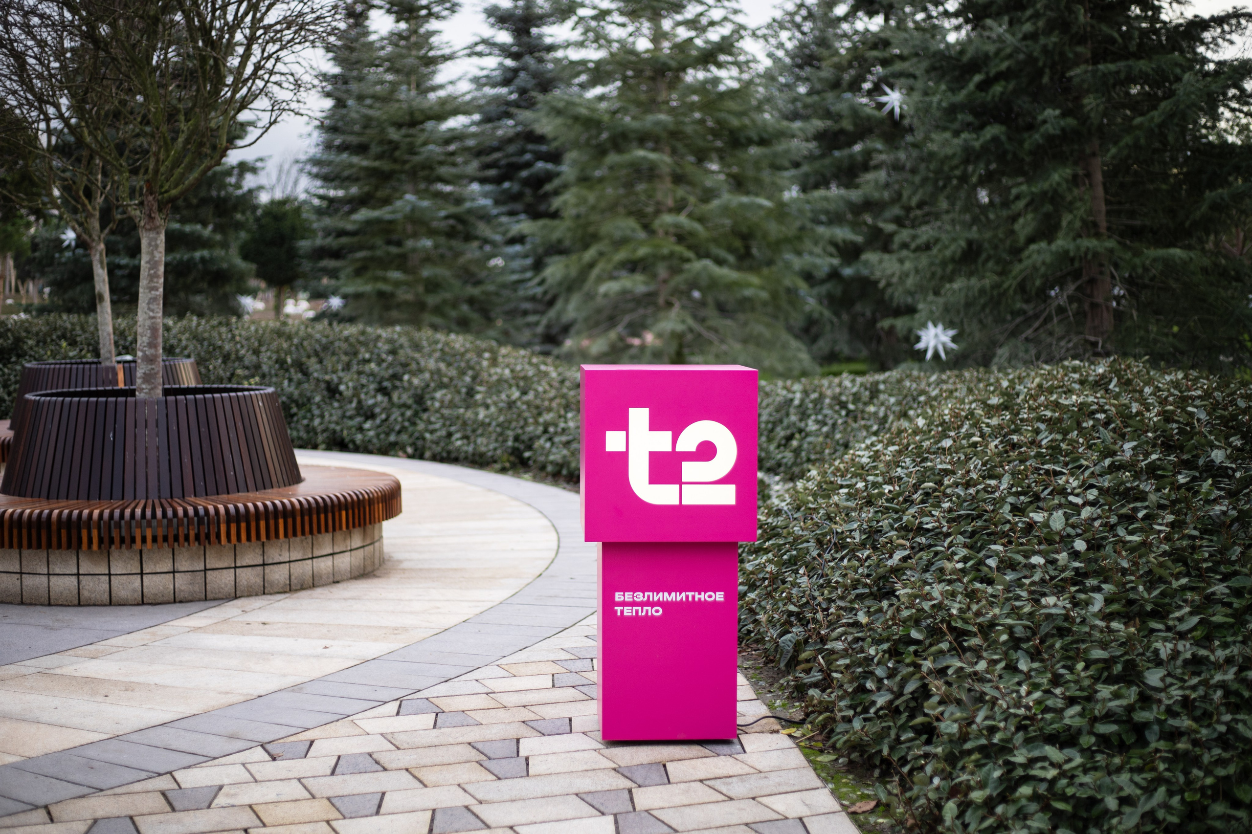 Т2. Фотограф Алиса Лисицына