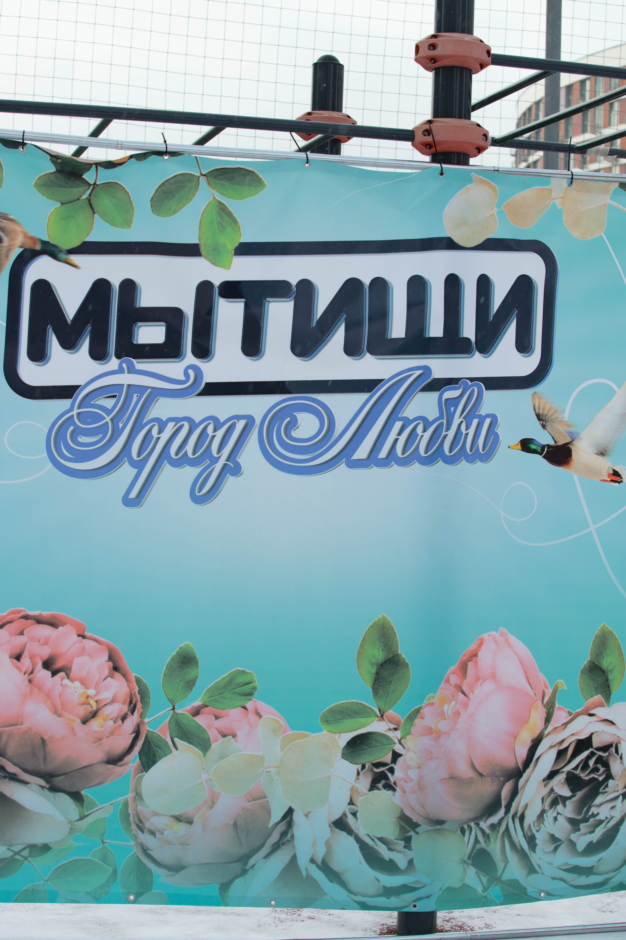 Марафон у дома_Мытищи. Александра Мельниченко/ Бегающий фотограф