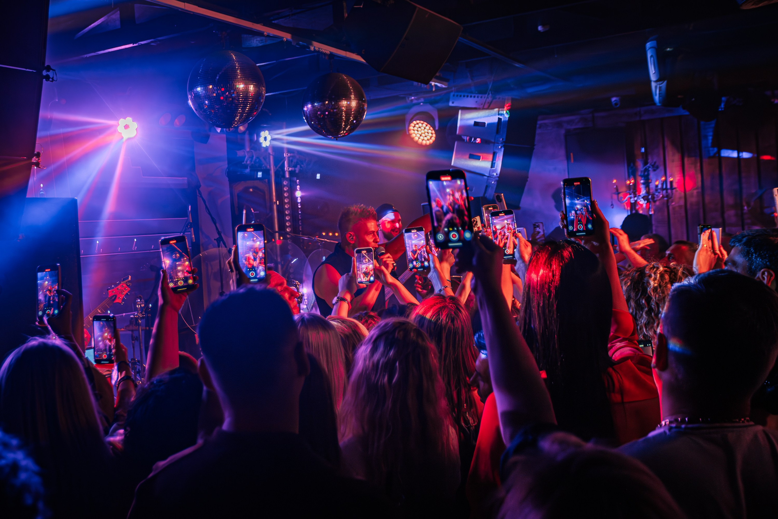 «Митя Фомин"_Чайка на пляже_Ялта_28.06.2025 г. Аминов Руслан | Фотограф