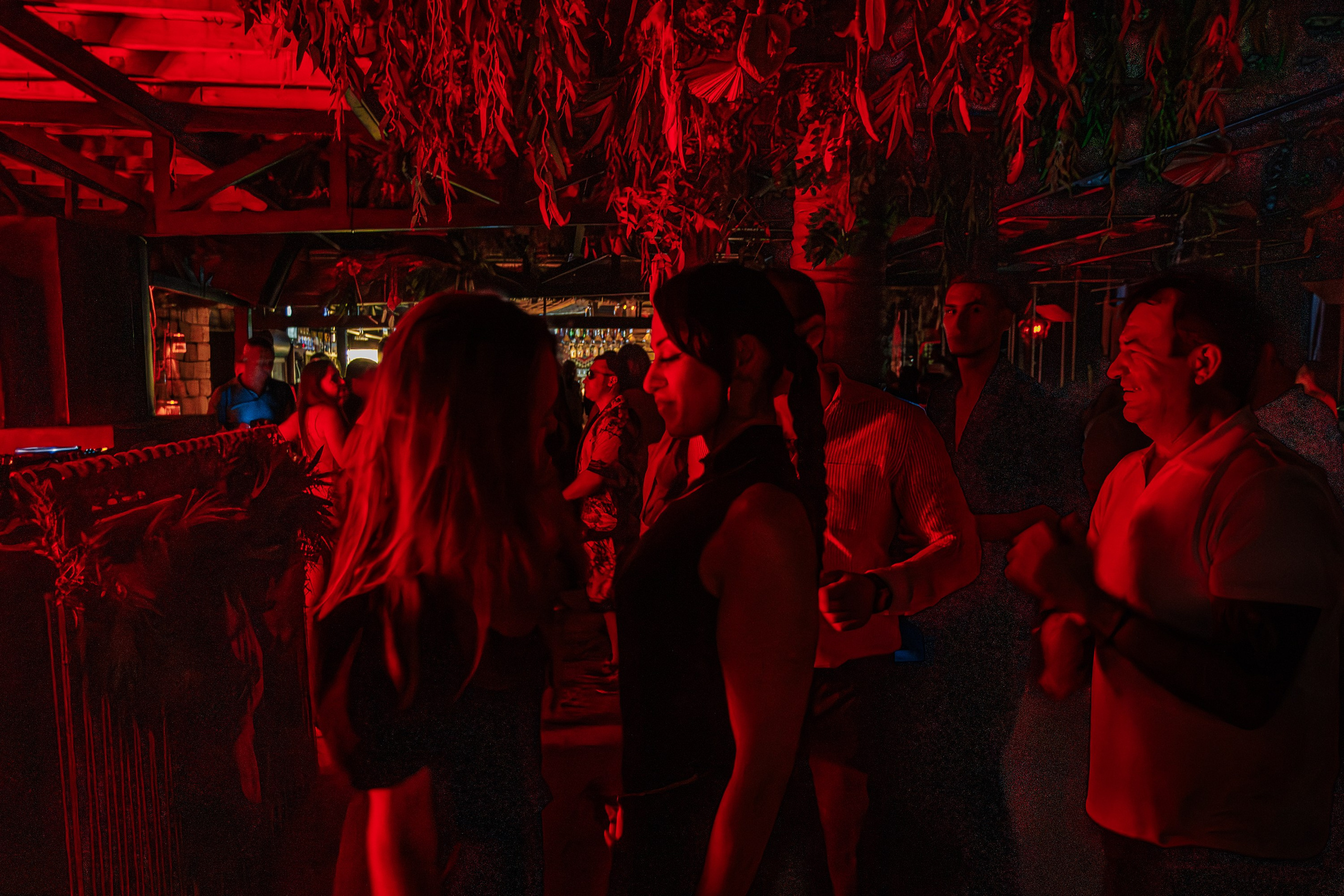 «Митя Фомин"_Чайка на пляже_Ялта_28.06.2025 г. Аминов Руслан | Фотограф