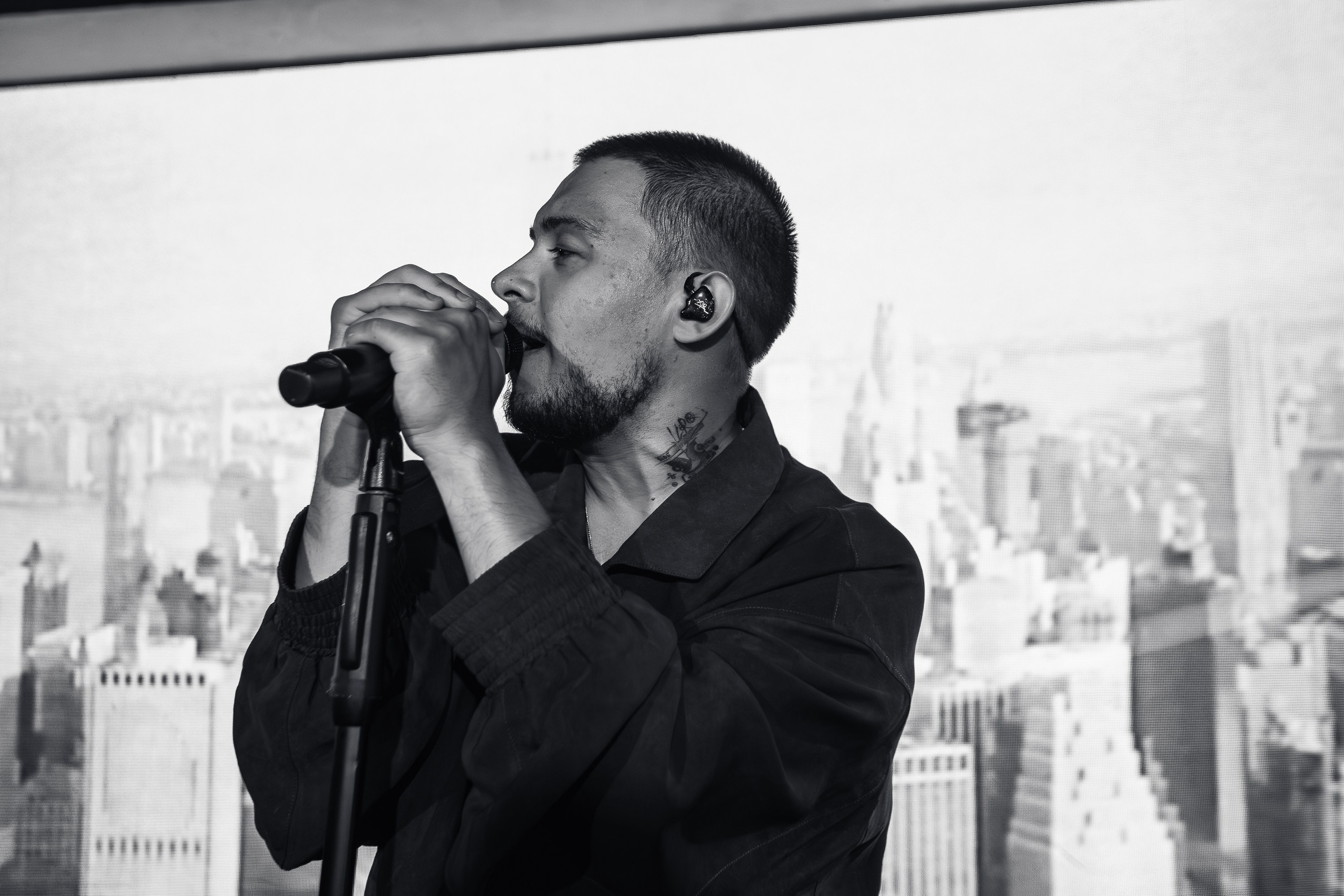 «LYRIQ"_Чайка на пляже_Ялта_15.08.2025 г. Аминов Руслан | Фотограф