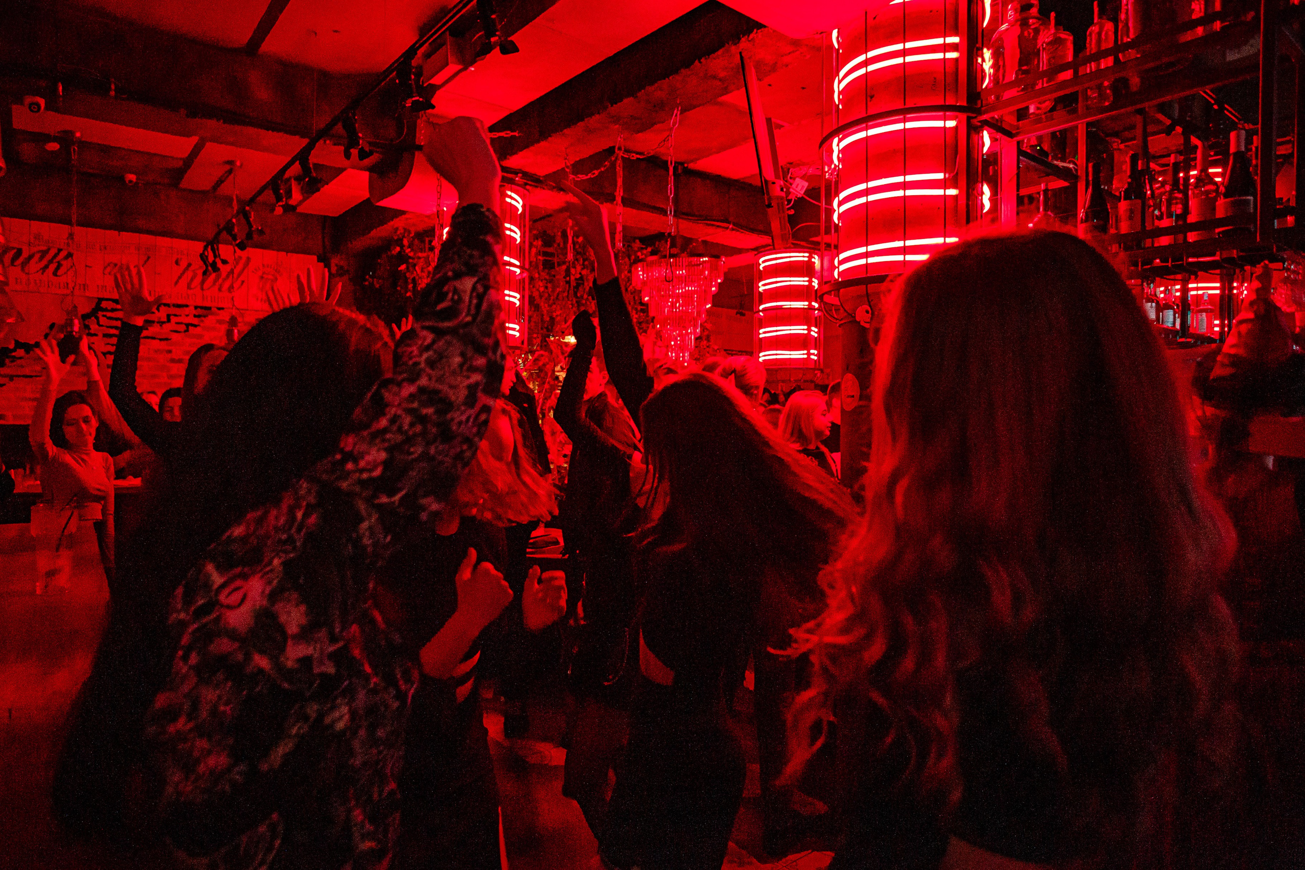 Пьяный плющ «Halloween"_Симферополь_2.11.2024. Аминов Руслан | Фотограф