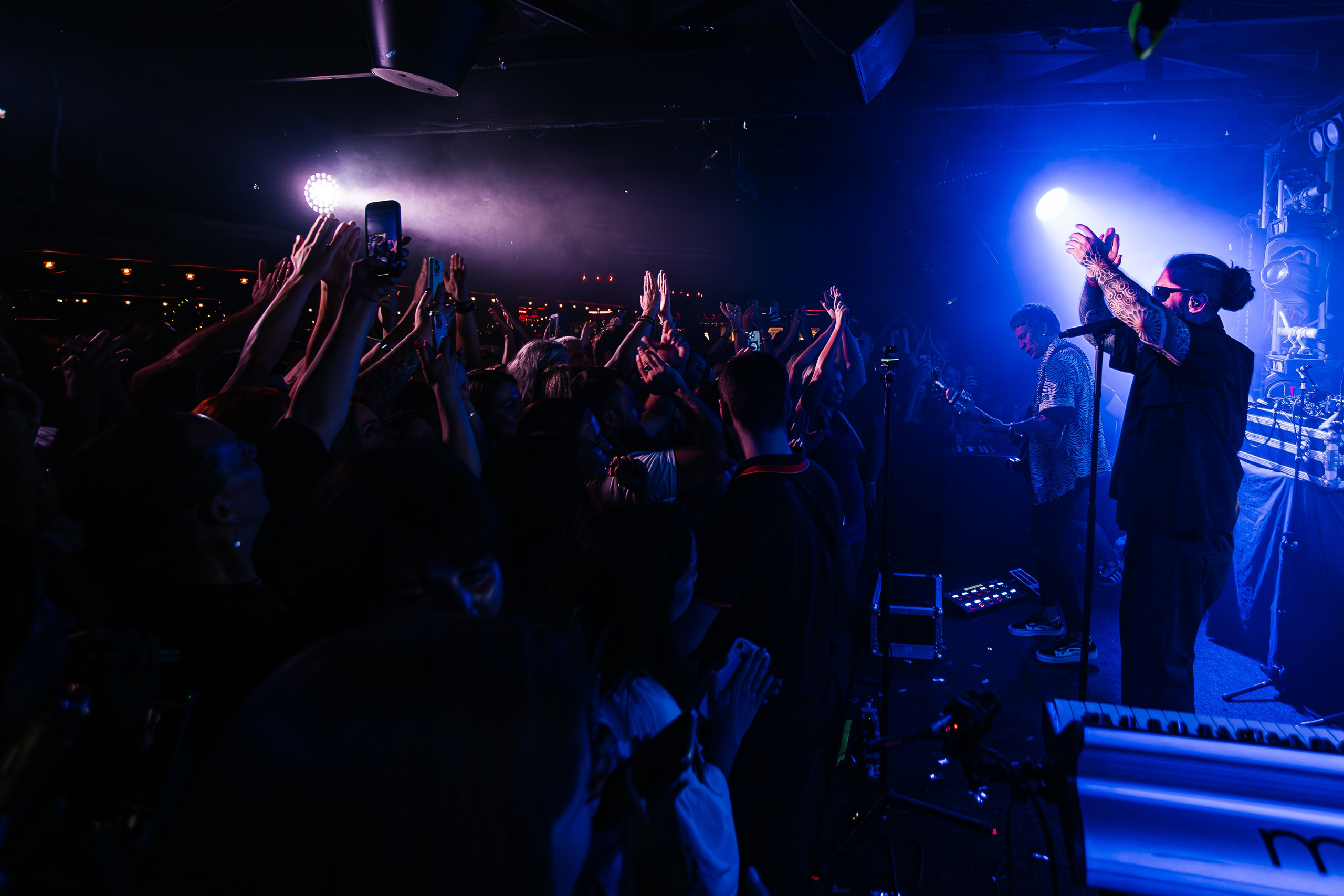 Бурито_Чайка_на_пляже_Ялта 23.08.2024. Аминов Руслан | Фотограф