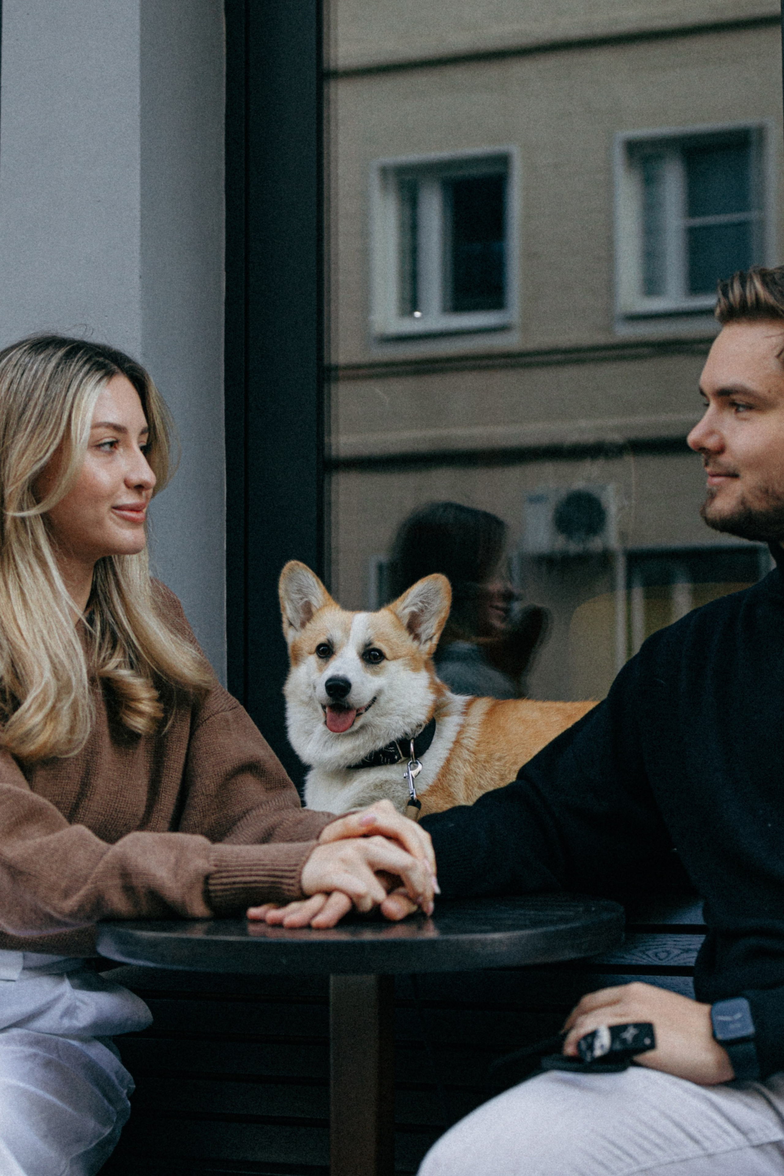 Даша, Рома и Лесли. Фотораф — анималист Мария Шистка