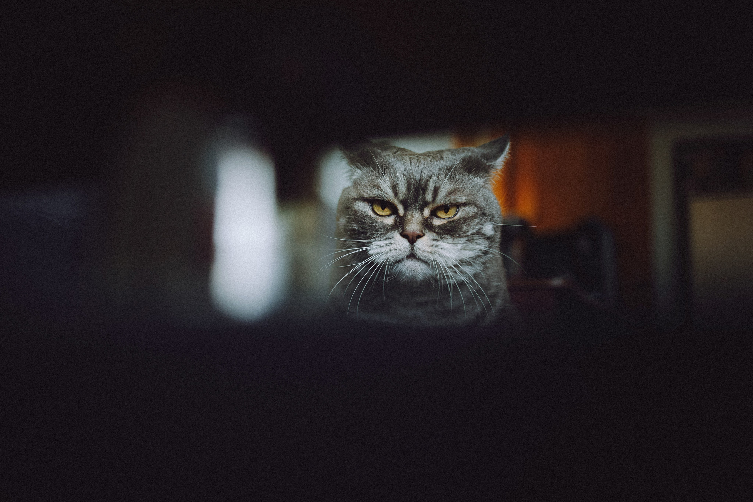 Яся и ее семья