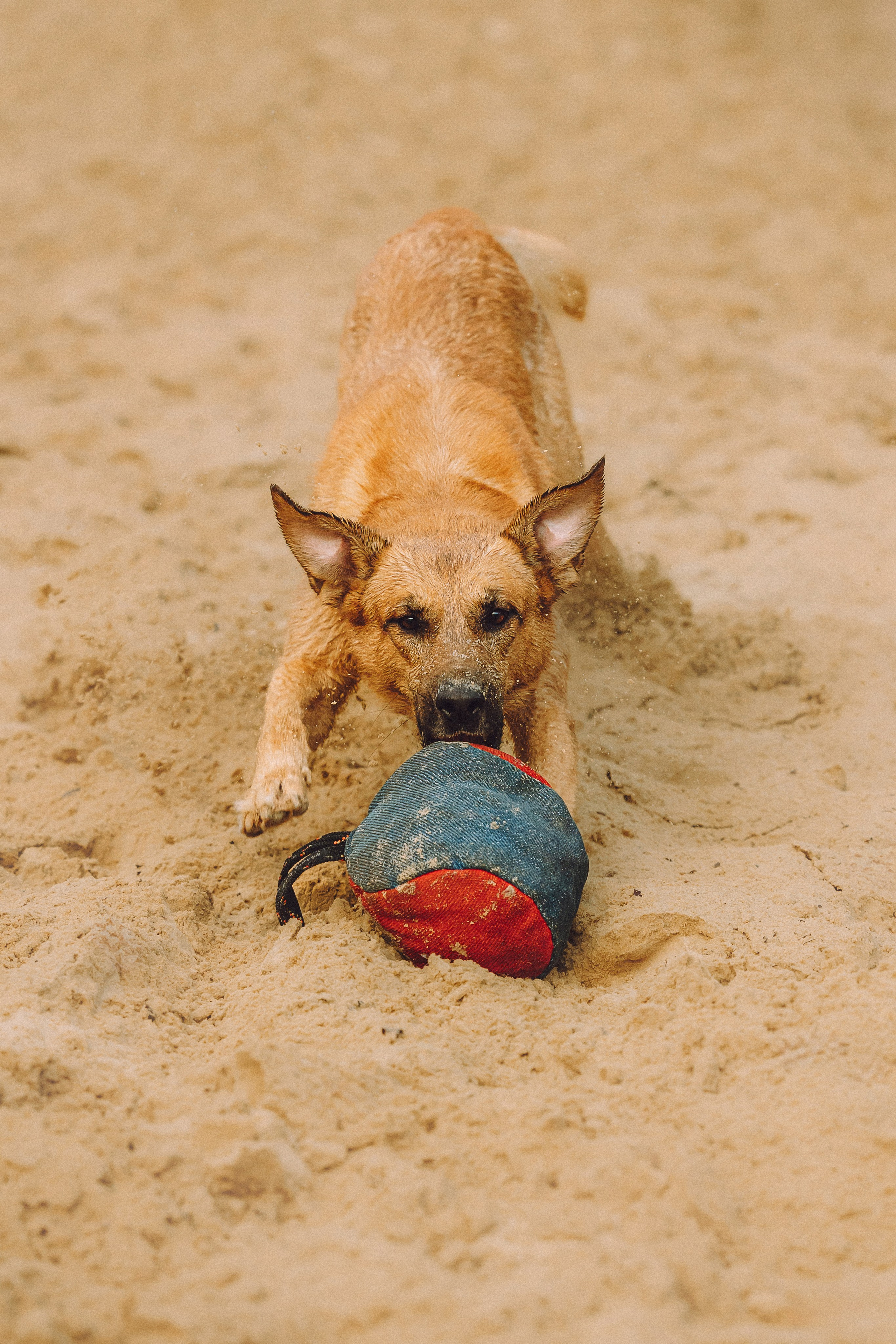 Роби, Тео и их семья
