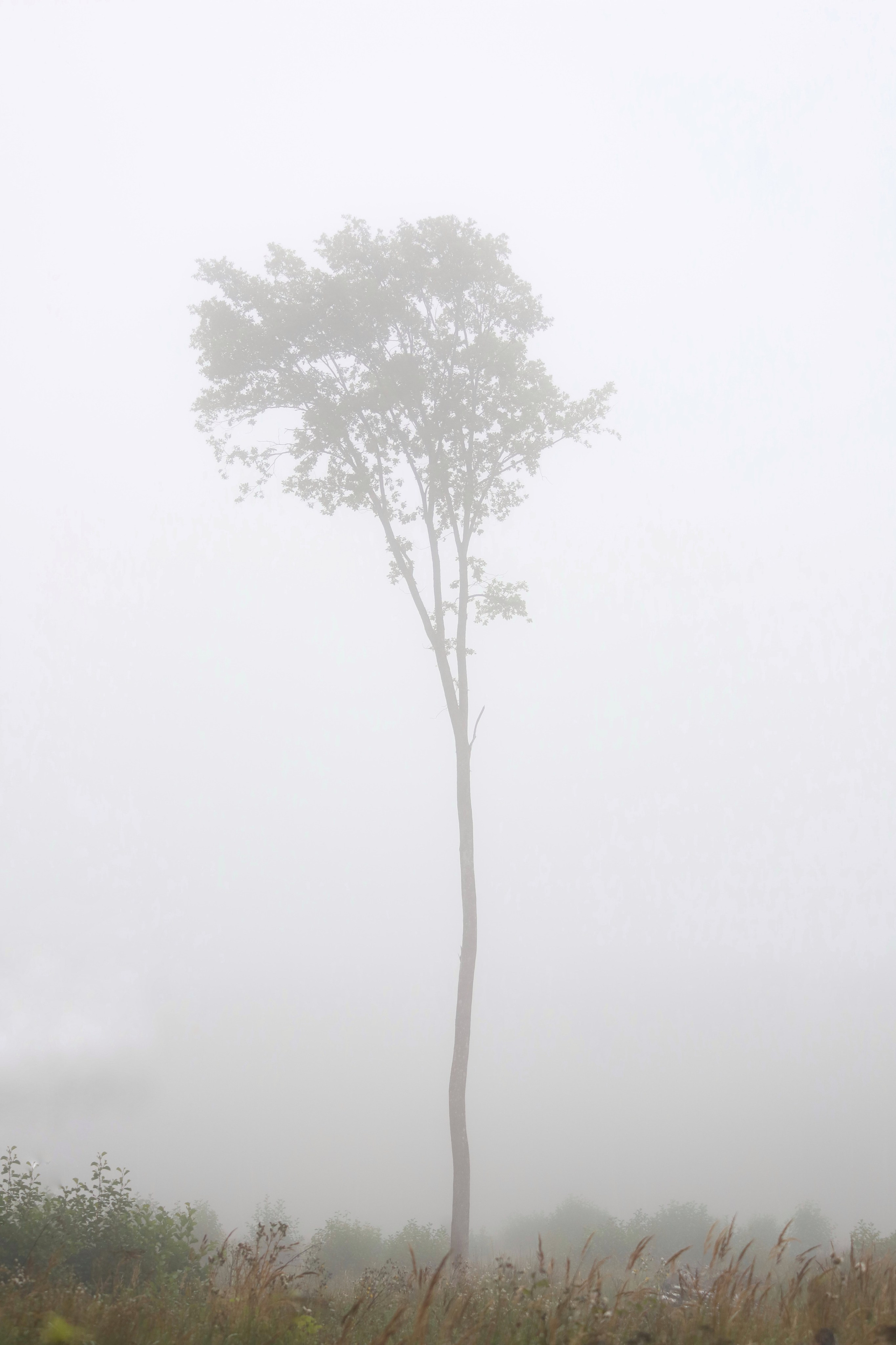 Природа. Фотограф Ольга Мурзина