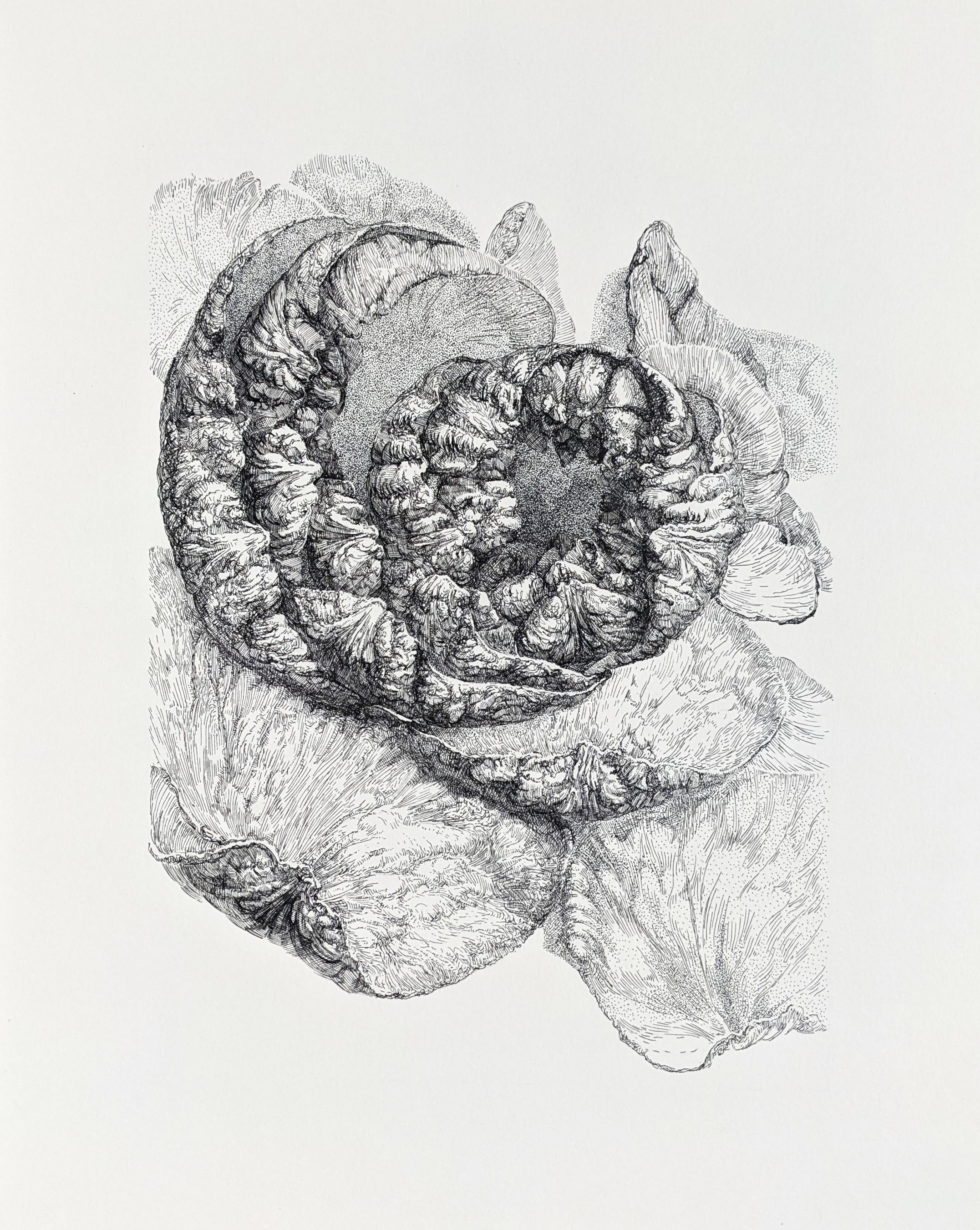 Nadezhda Polomoshnova, fine artist in Charleston