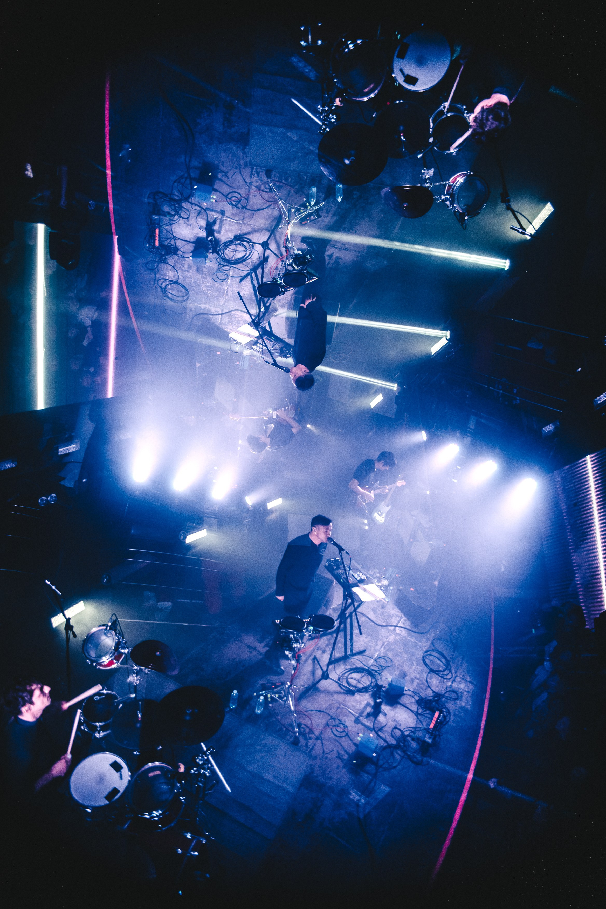 Дельфин | Gaudi. Контент фотограф Илья Урс