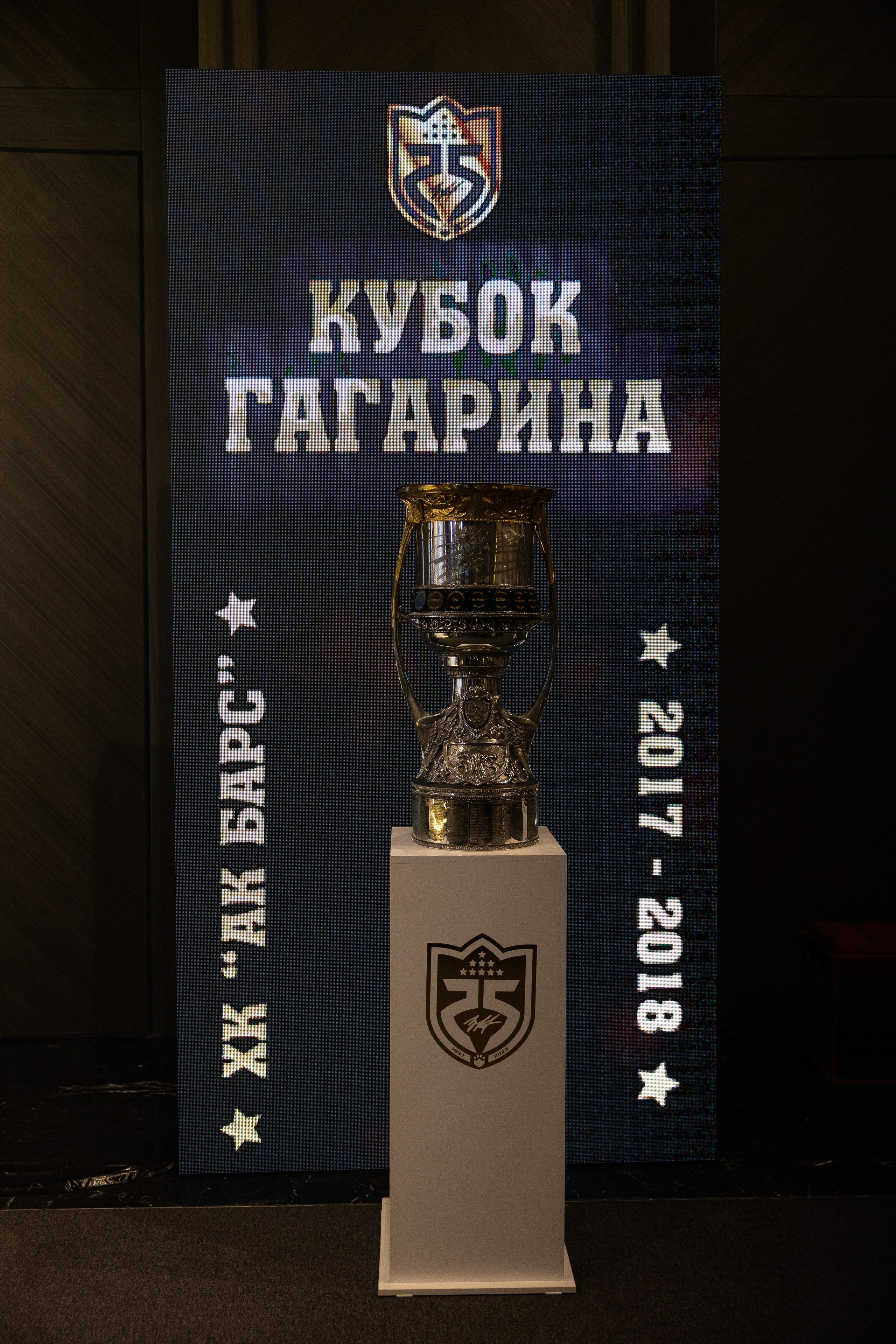 Данис Зарипов 25. Свадебный и портретный фотограф Казань/Москва/СПБ Елькина Юлия