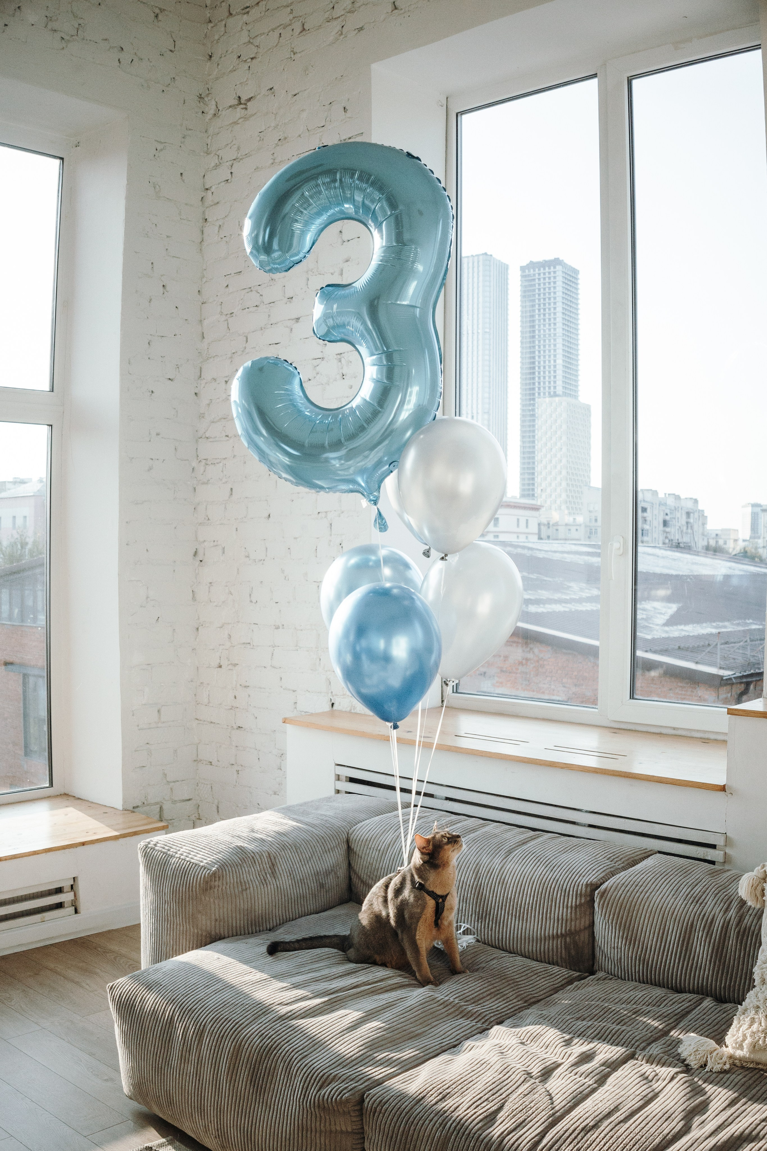 Циско и его семья. Фотограф — Анималист | Санкт-Петербург