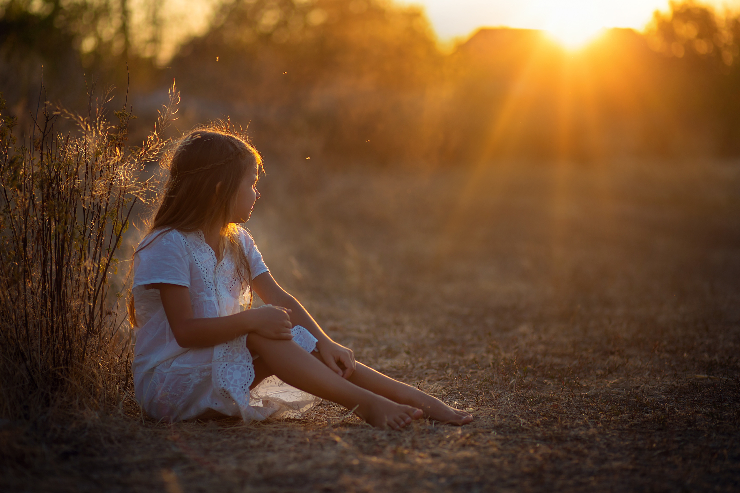 выдержка, диафрагма, исо