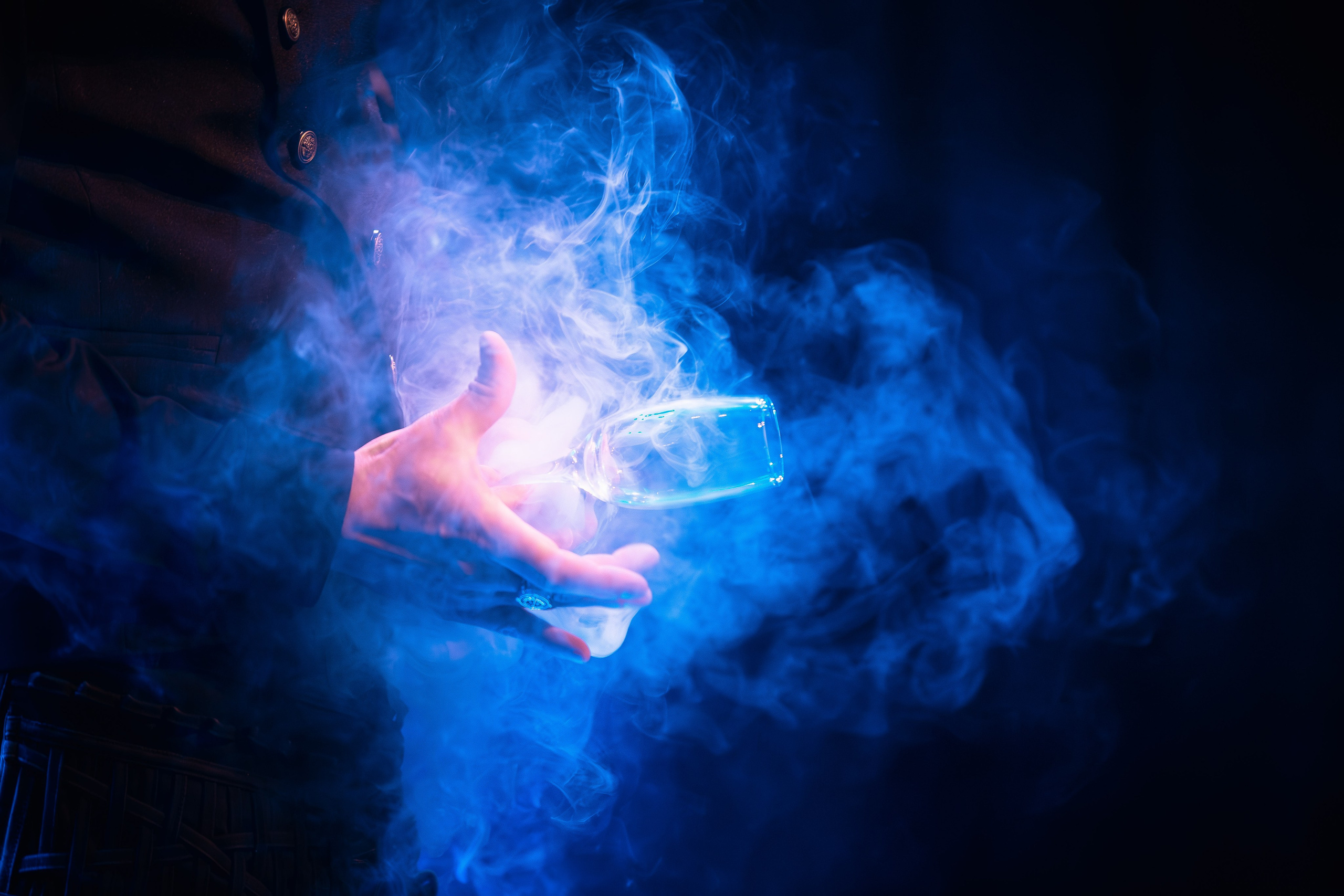 Цирковое шоу. Видеограф Добромыслов