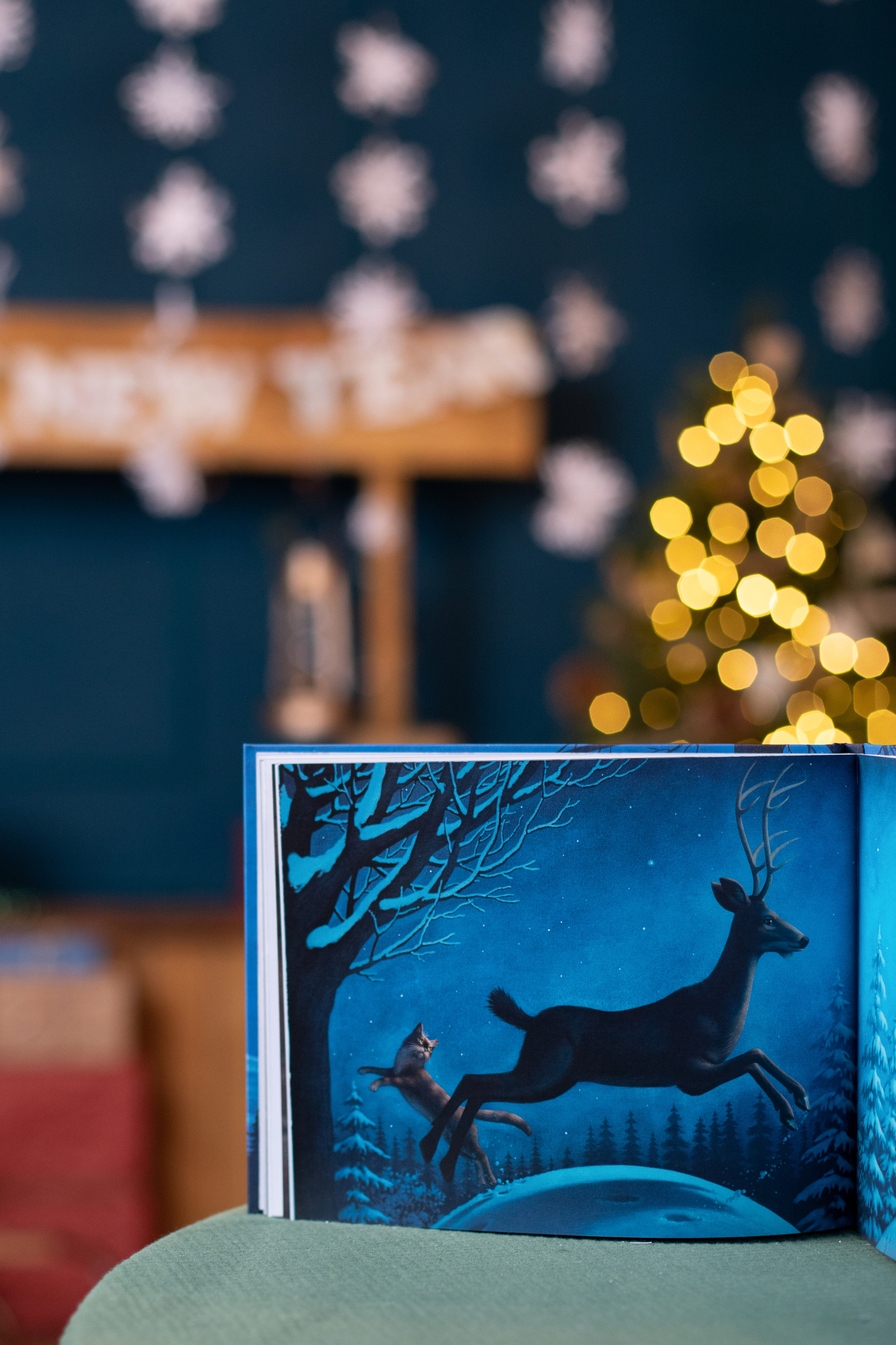 Контент для детского бренда. Детский и контент фотограф Надя Волкова Санкт-Петербург