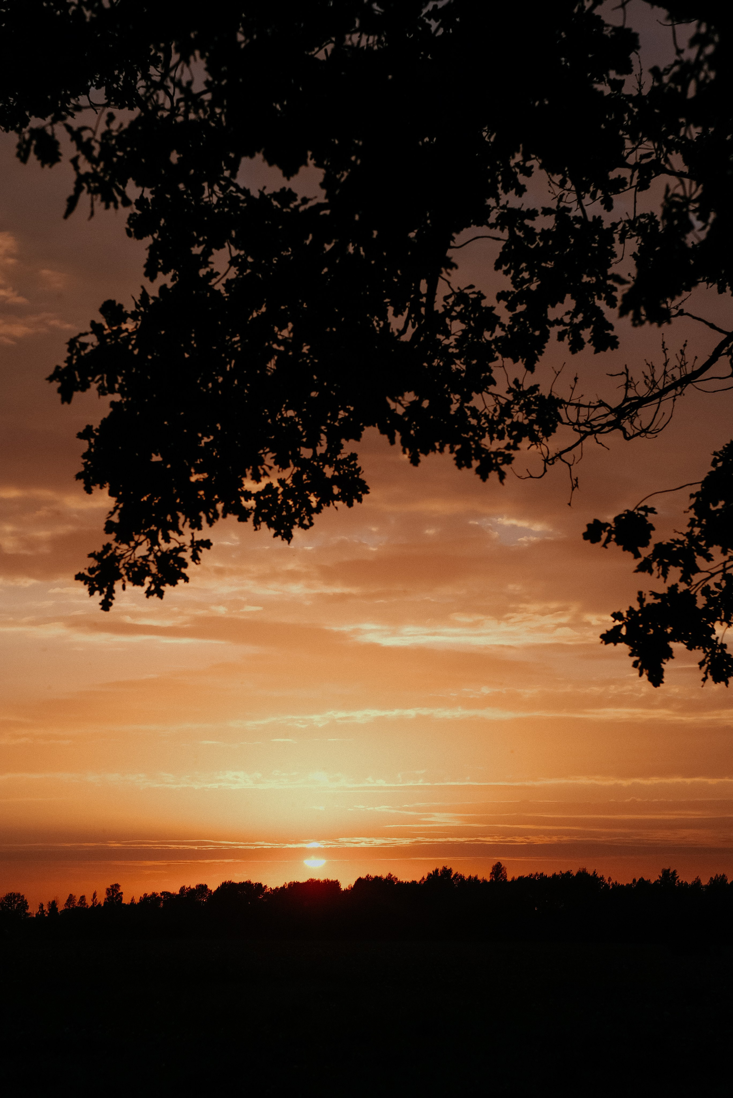 Альбом 11. Фотограф Катерина Мартьянова Санкт-Петербург