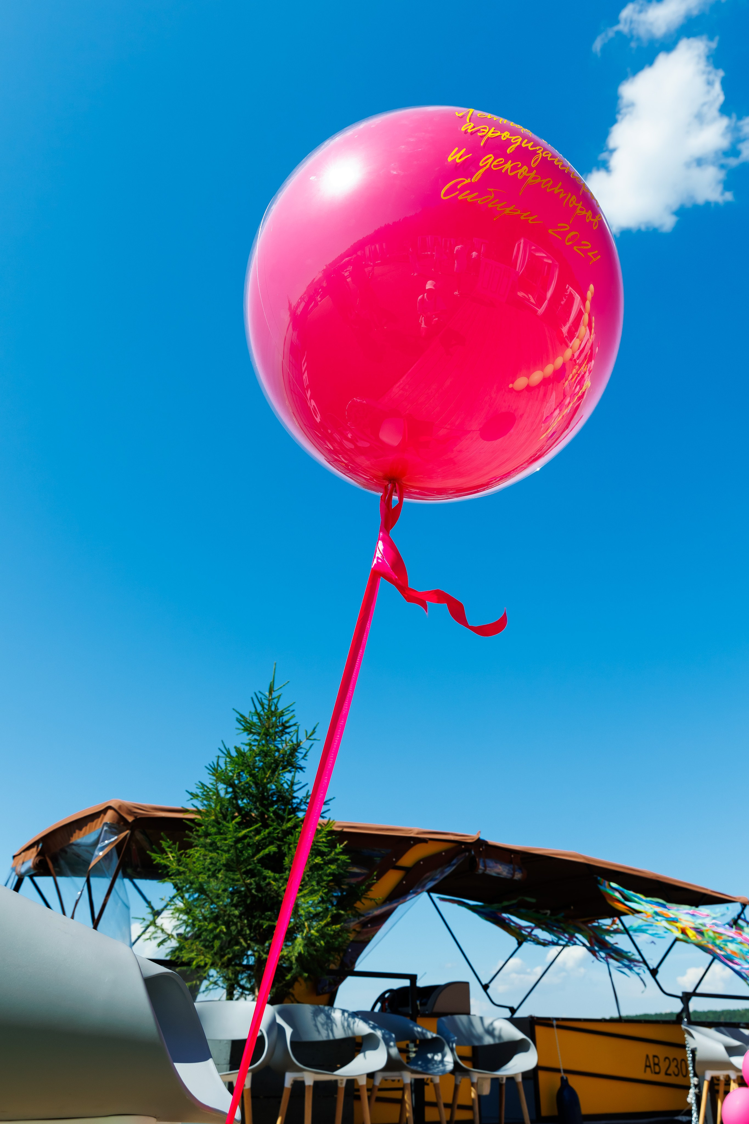 Летняя вечеринка декораторов ШИУ. Фотограф Новосибирск — Наталья Гресь