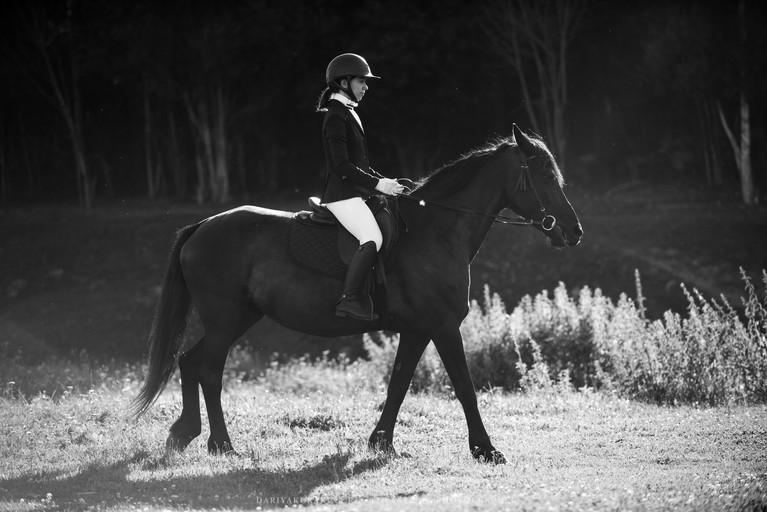 Алиса — Аванпост. Конный фотограф Куракина Дарья • Фотосессии с лошадьми