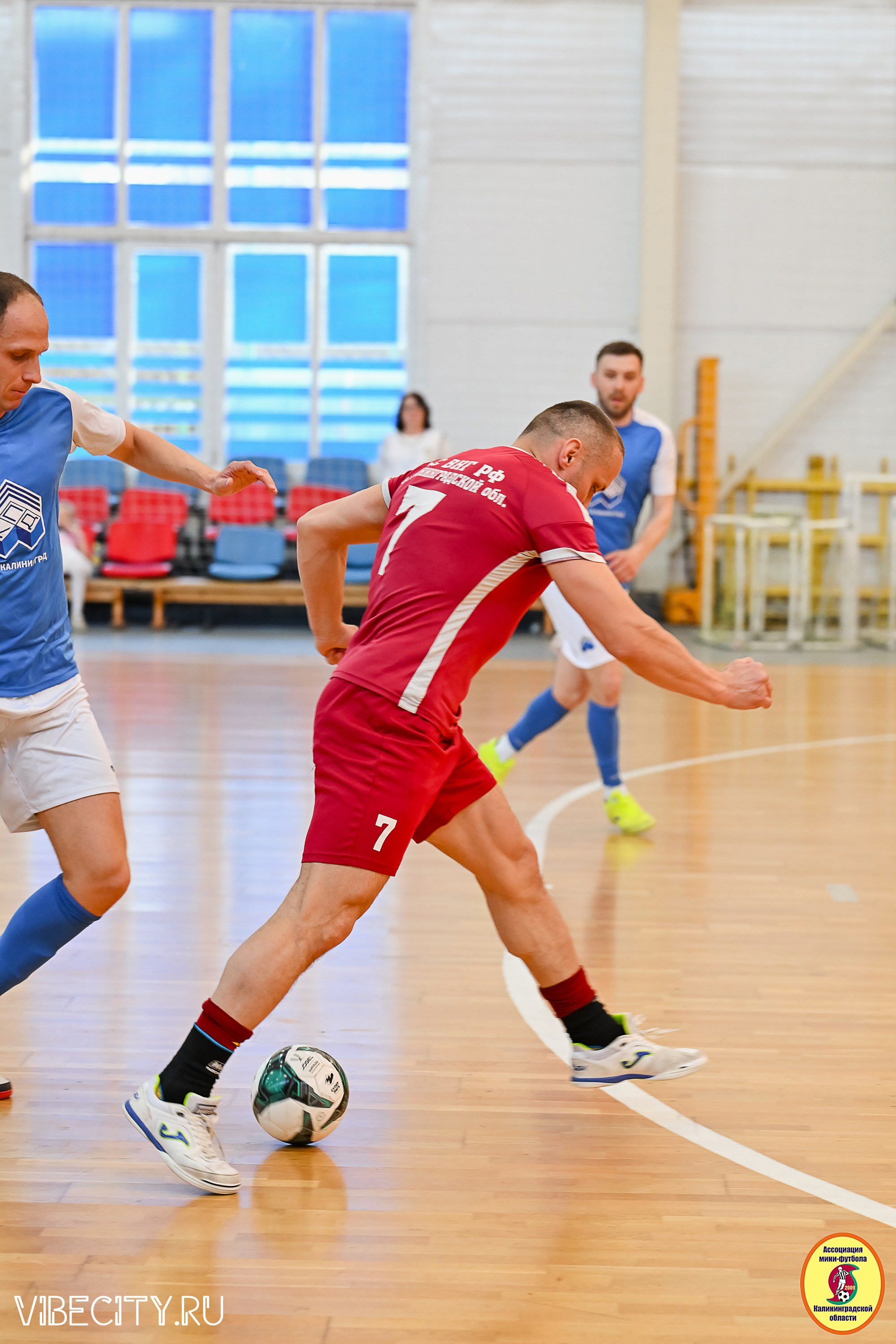 МФЛ СанТермо. VIBECITY.RU Вайб Сити Ру Фоторепортажи Фотоотчеты Калининград