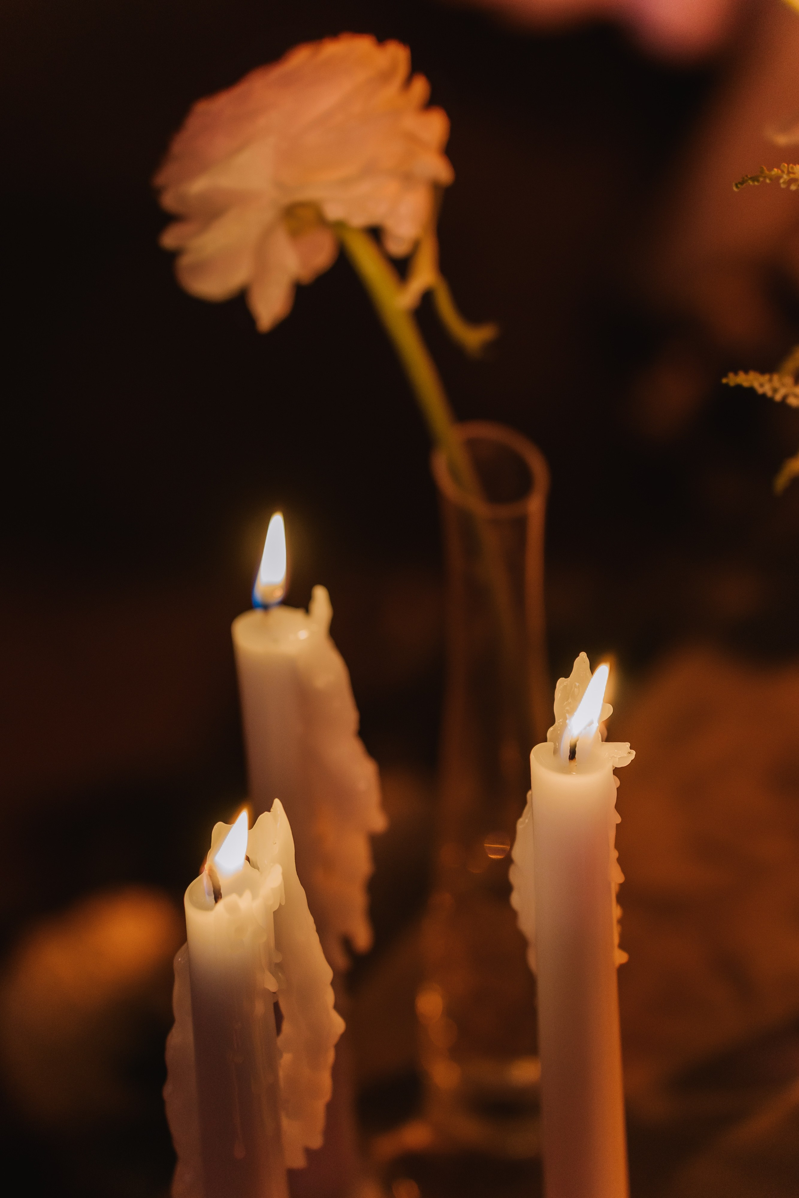 Свадьба Алексея и Анастасии. Свадебный фотограф в Москве Яна Деньгина