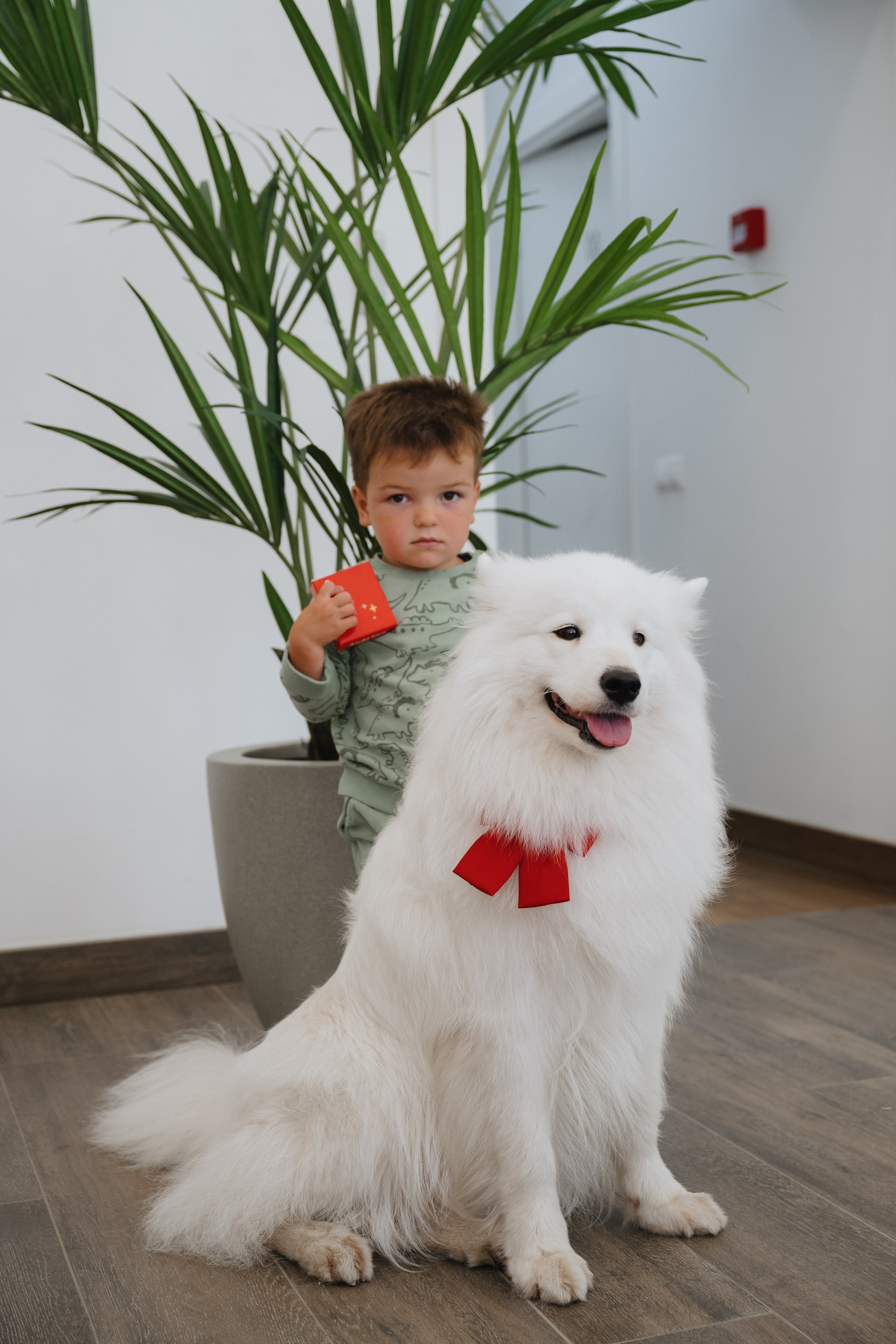 Альфа банк Карла Маркса 55. Фотограф Кристина Тумаева. Самоед Новосибирск