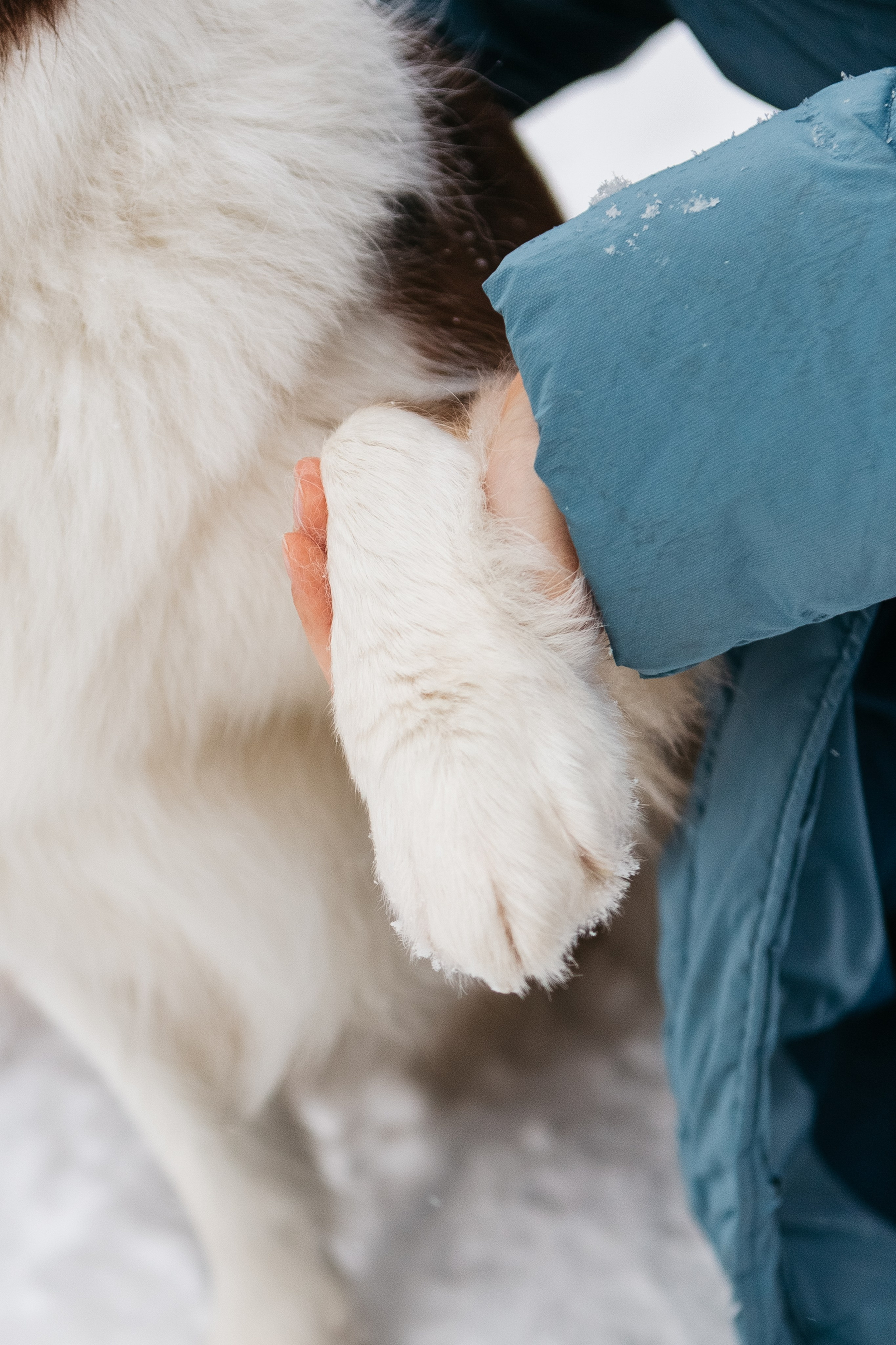 Анастасия. Семейный и портретный фотограф в Санкт-Петербурге
