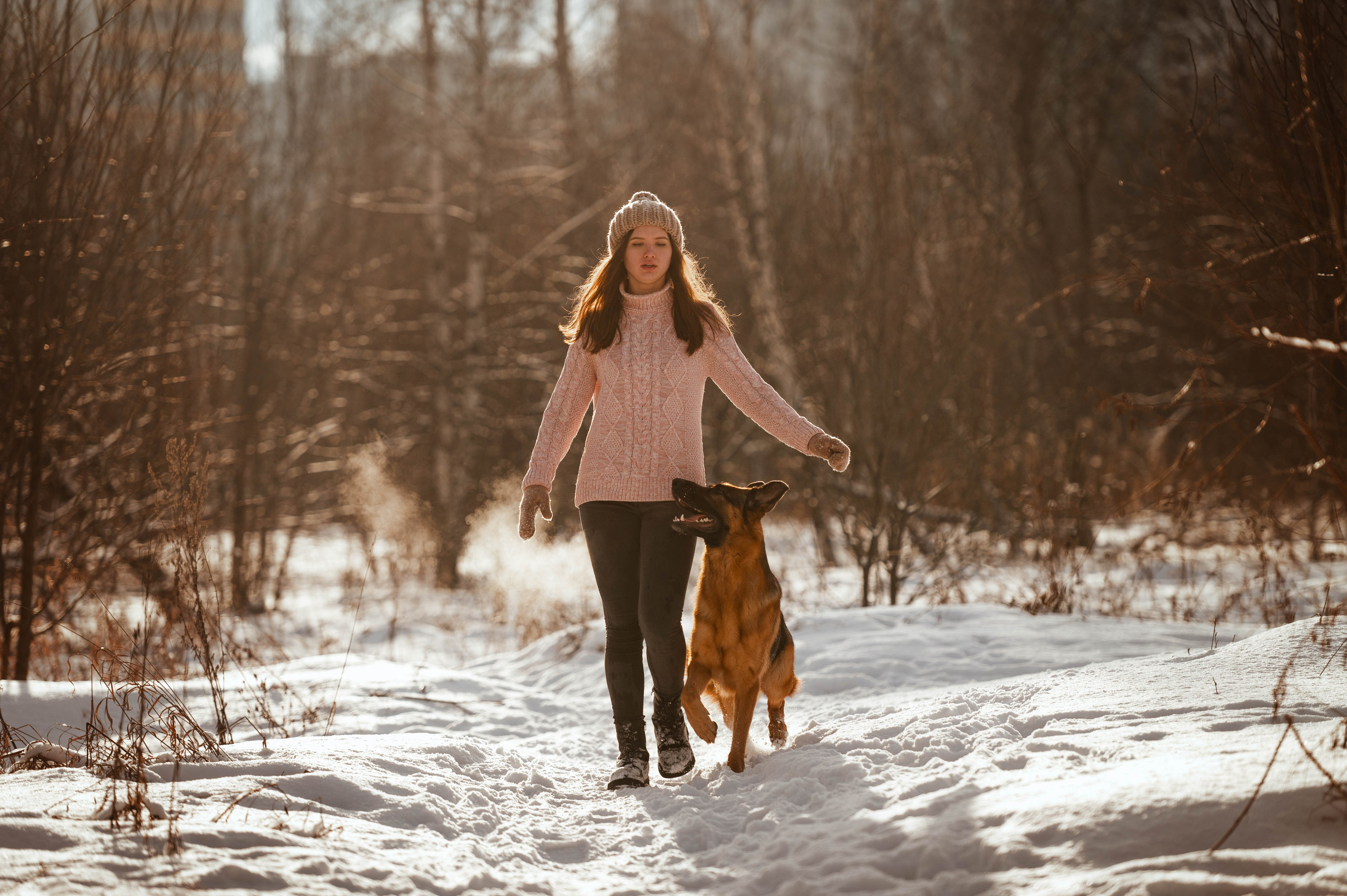 Вольт. Фотограф-анималист