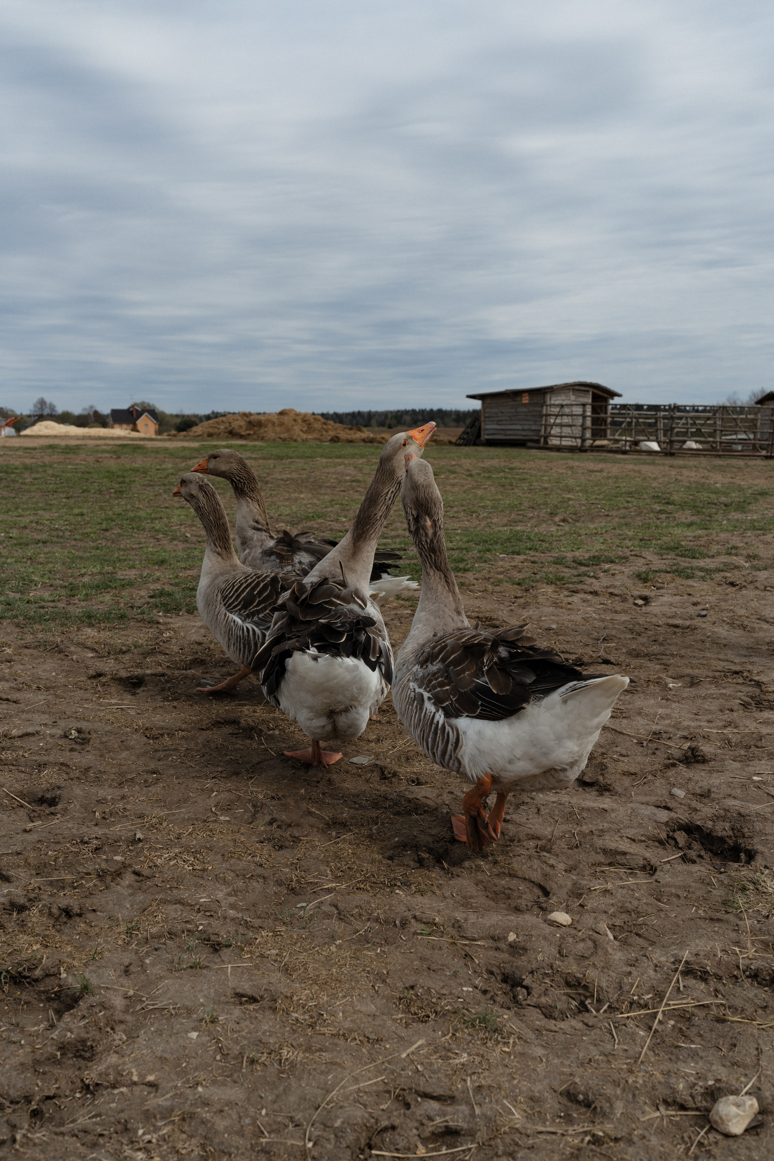 Кочевник. Твой фотограф в Москве и Московской области Романцова Ирина