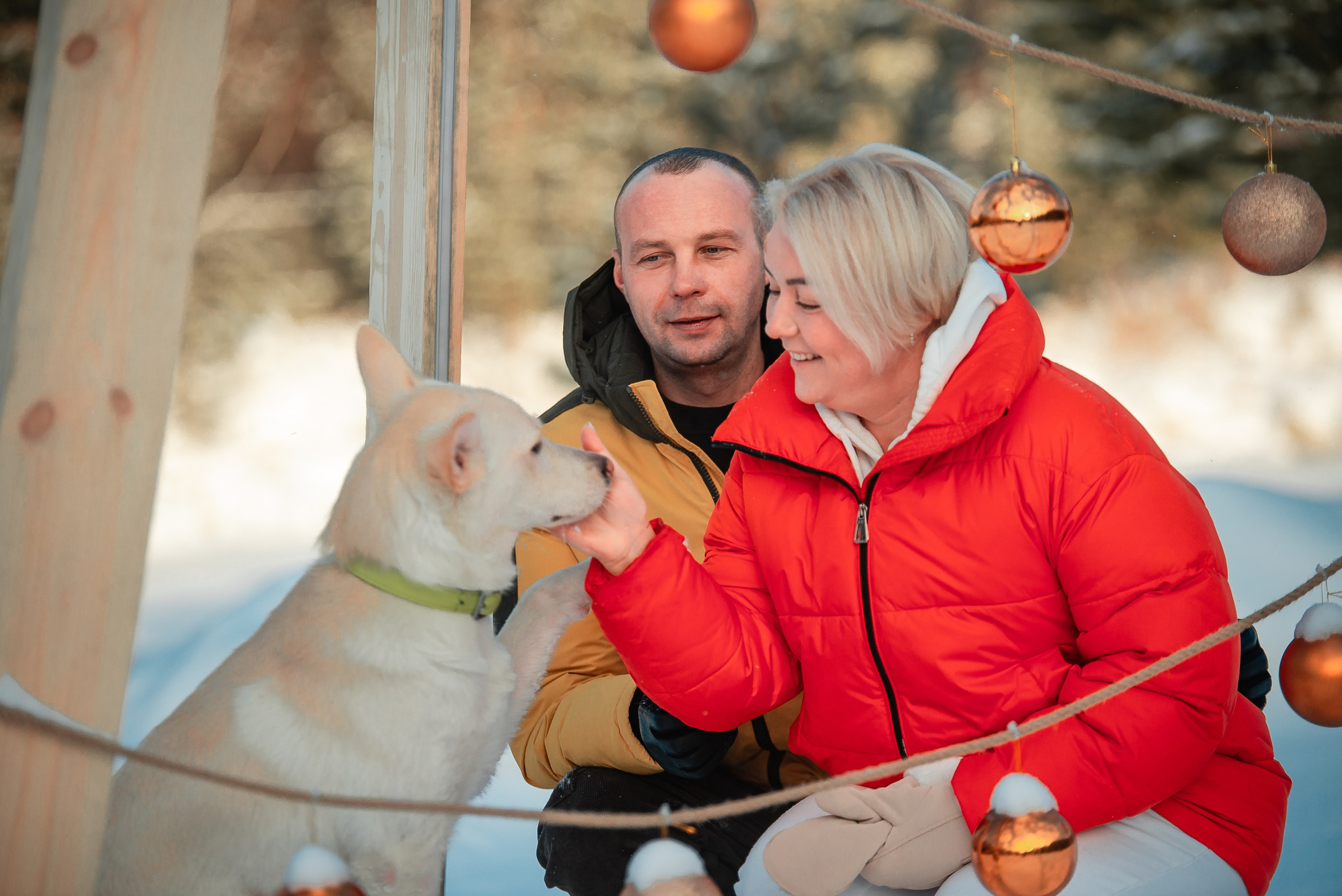 Татьяна, Михаил, Шелли и Лаки. Фотограф-анималист Анастасия Парфенова|Екатеринбург