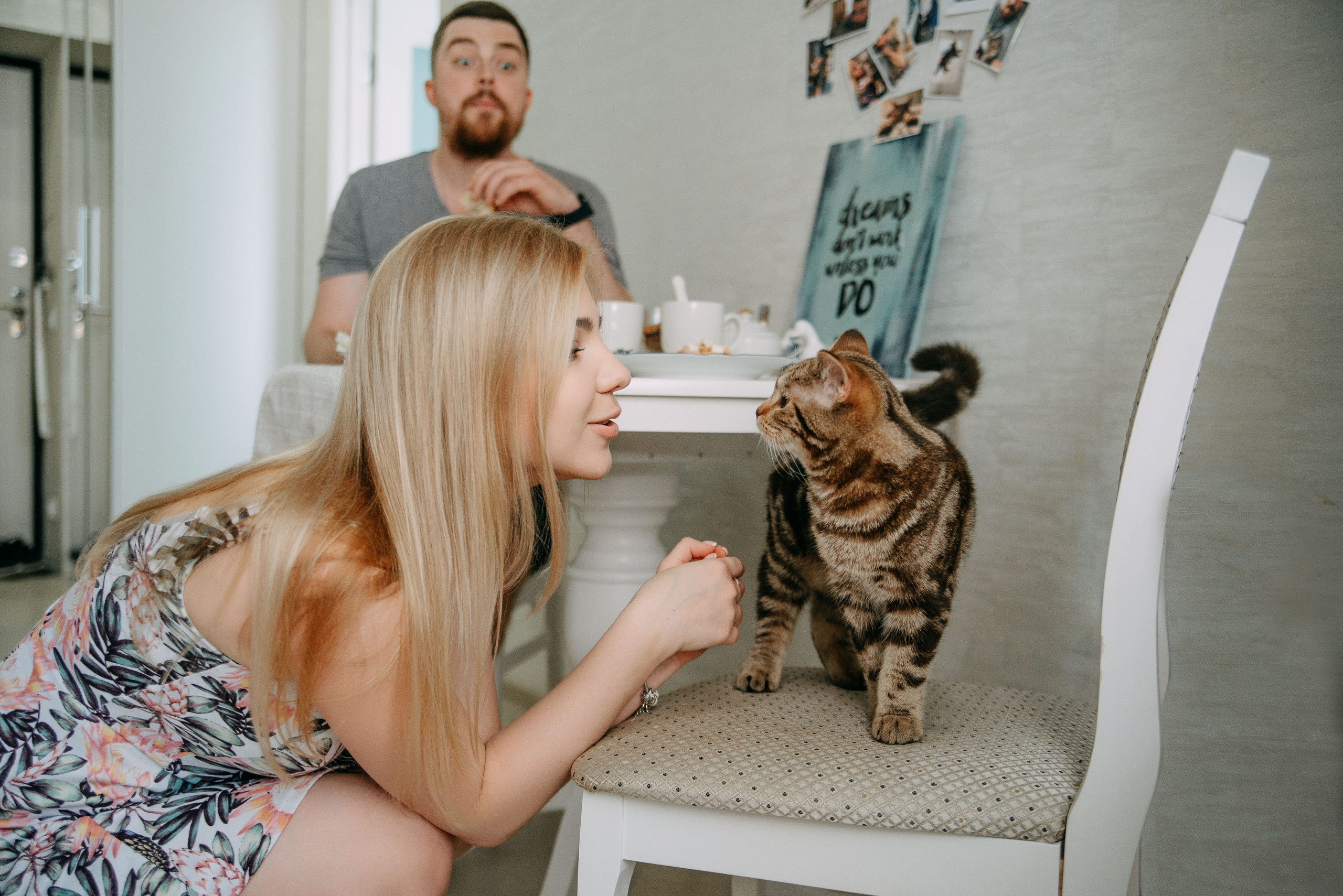 Без кота и жизнь не та. Савиновская Кристина фотограф Самара