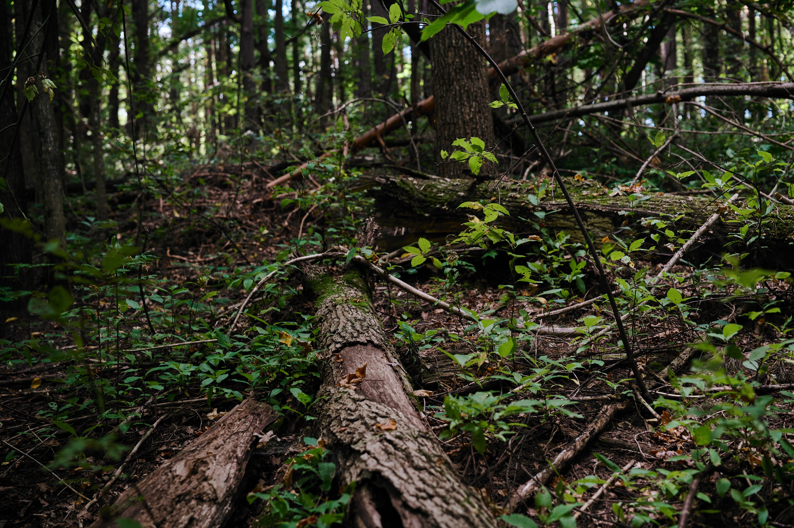 30 км Путь Героя Треккинг по Волжской тропе. Коммерческий фотограф в Казани Ксения Добролюбова