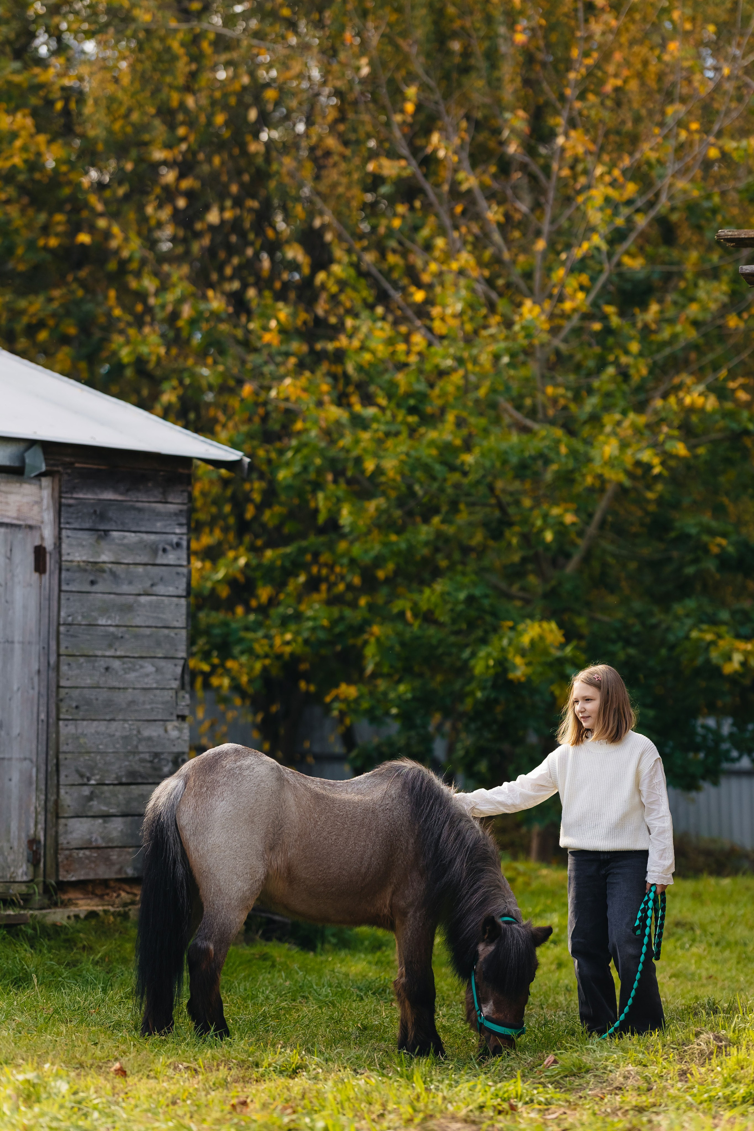 2024.10.02 Илья и лошадка. Ирина Бешляга. Фотограф в Москве и по всей России