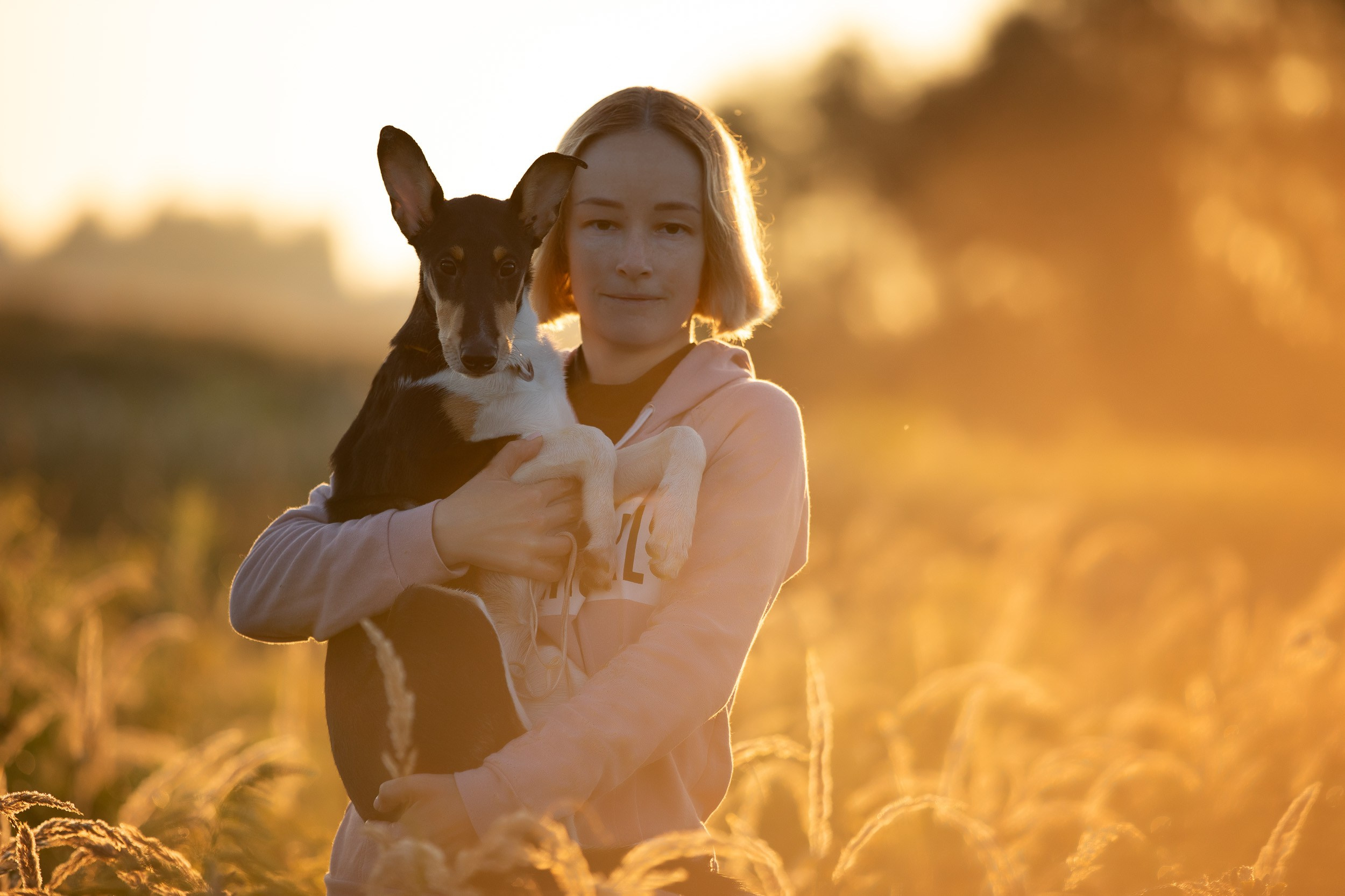 Наташа и короткошерстные колли. Фотограф-анималист в Москве и Московской области Татьяна Фролова