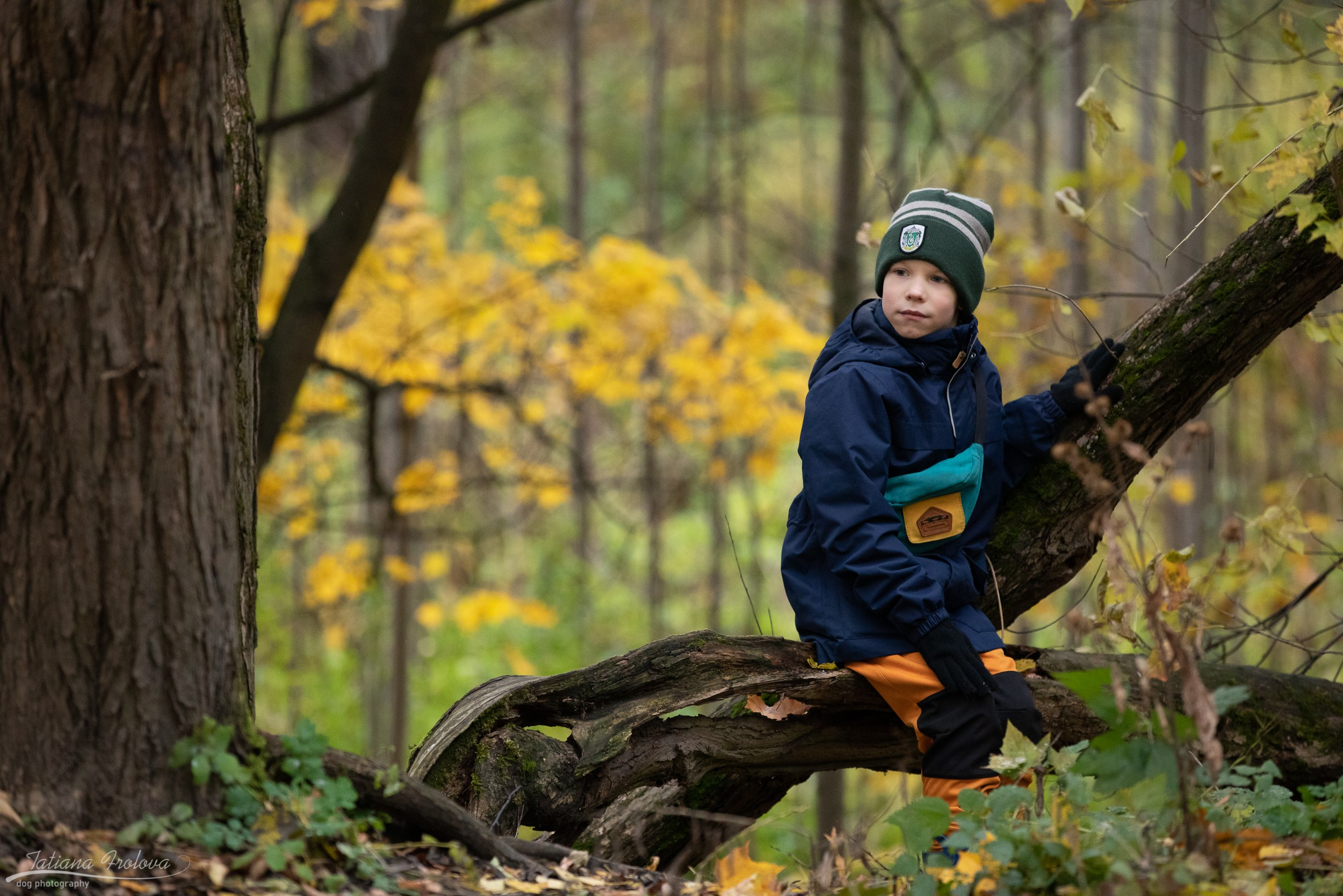 Осенняя фотосессия с собакой в г. Мытищи. Фотограф-анималист в Москве и Московской области Татьяна Фролова