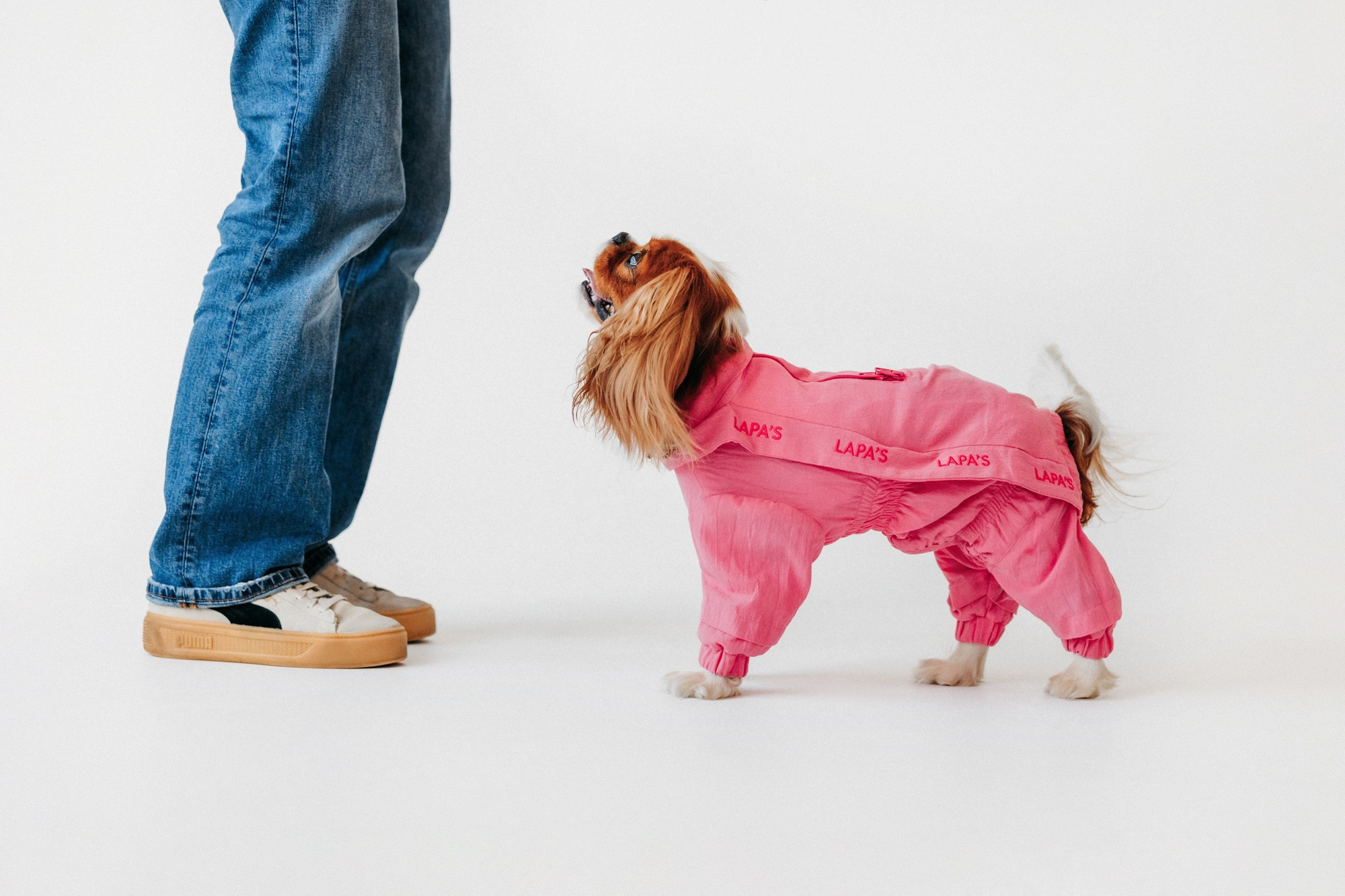 Одежда Lapa`s brand. Фотограф-анималист Елена Радченко, Москва