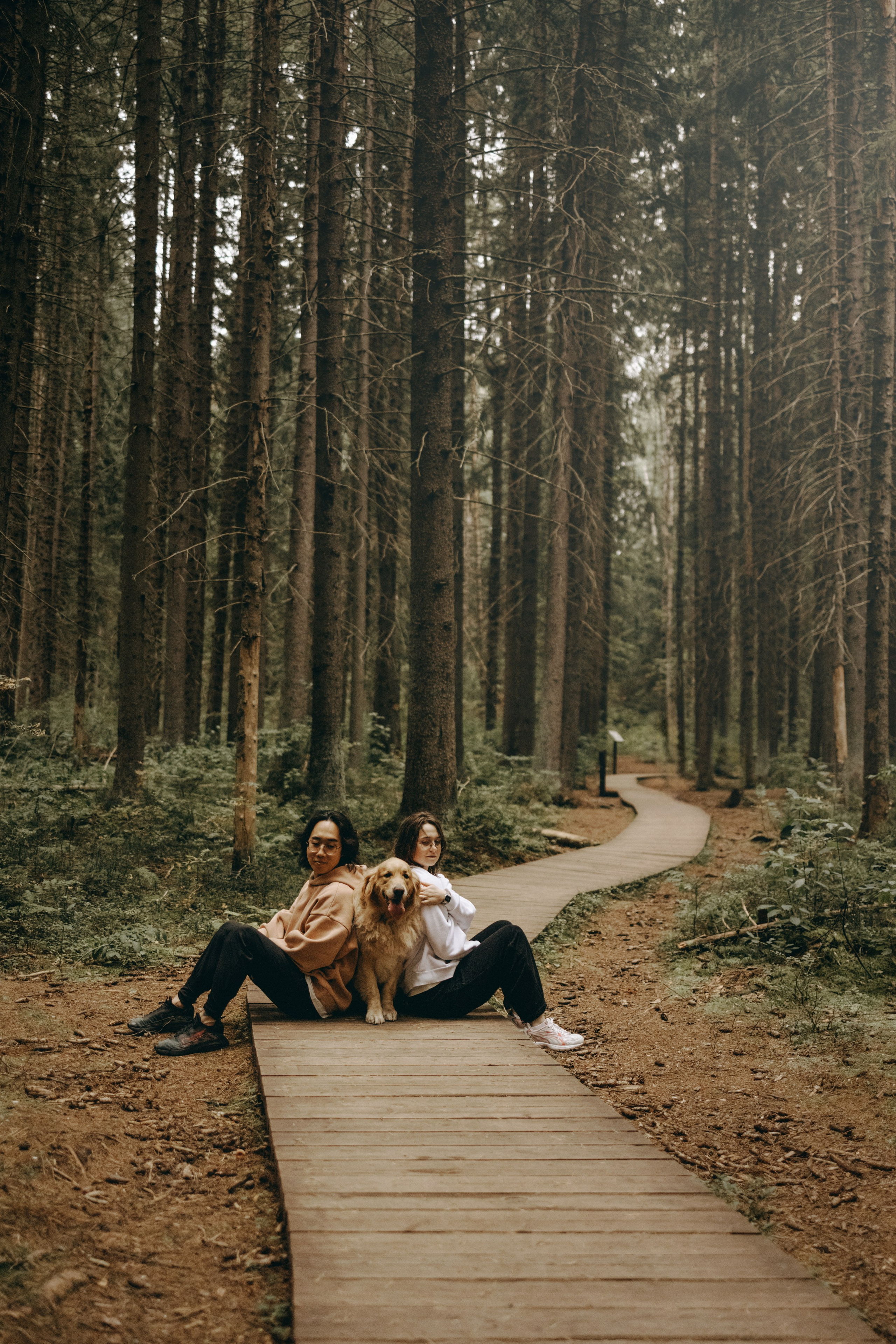 Фоси и его семьи. Фотограф — Анималист | Санкт-Петербург