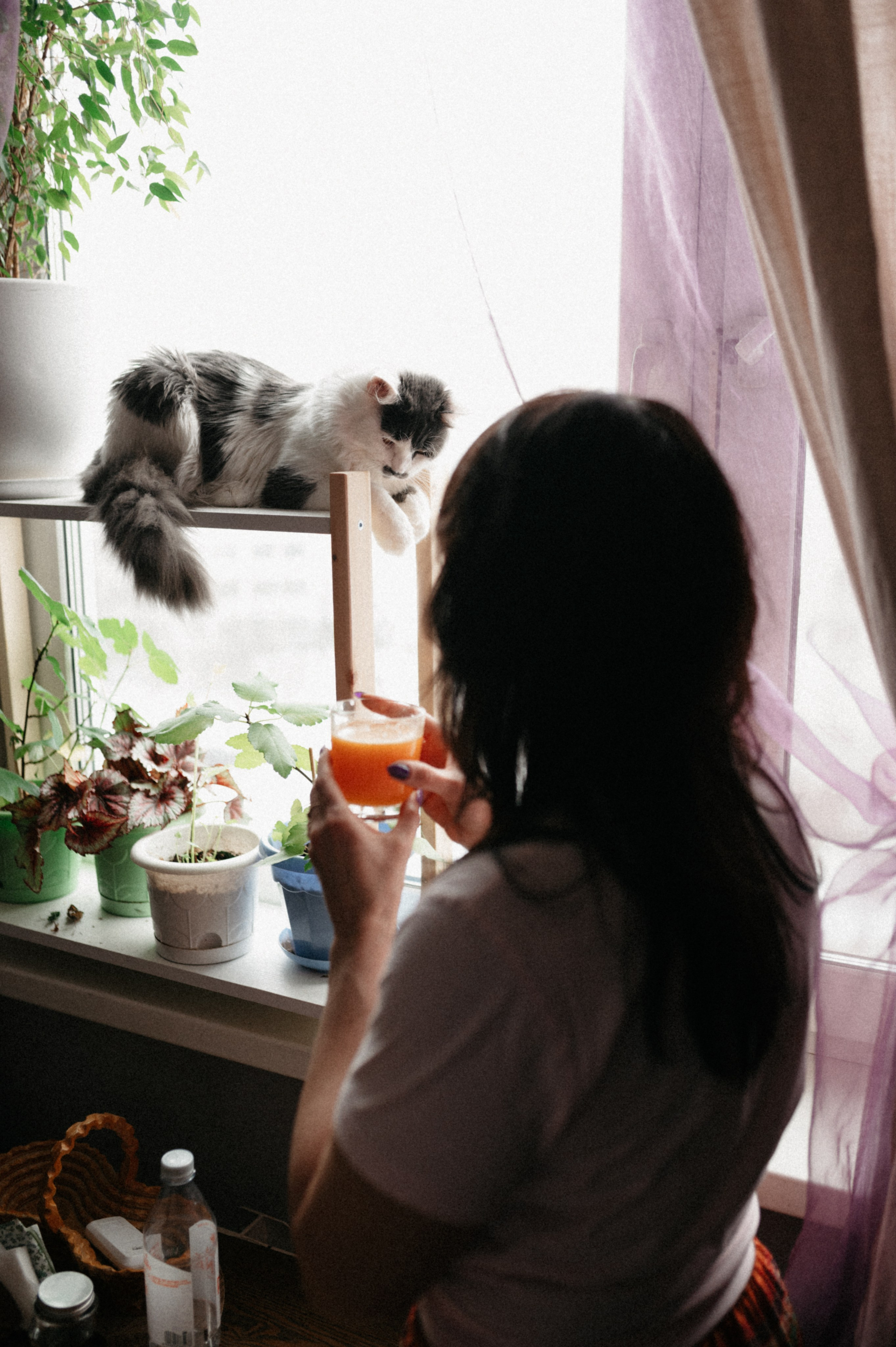 Оля и её меховая банда. Фотограф анималист в Москве Ольга Агушева