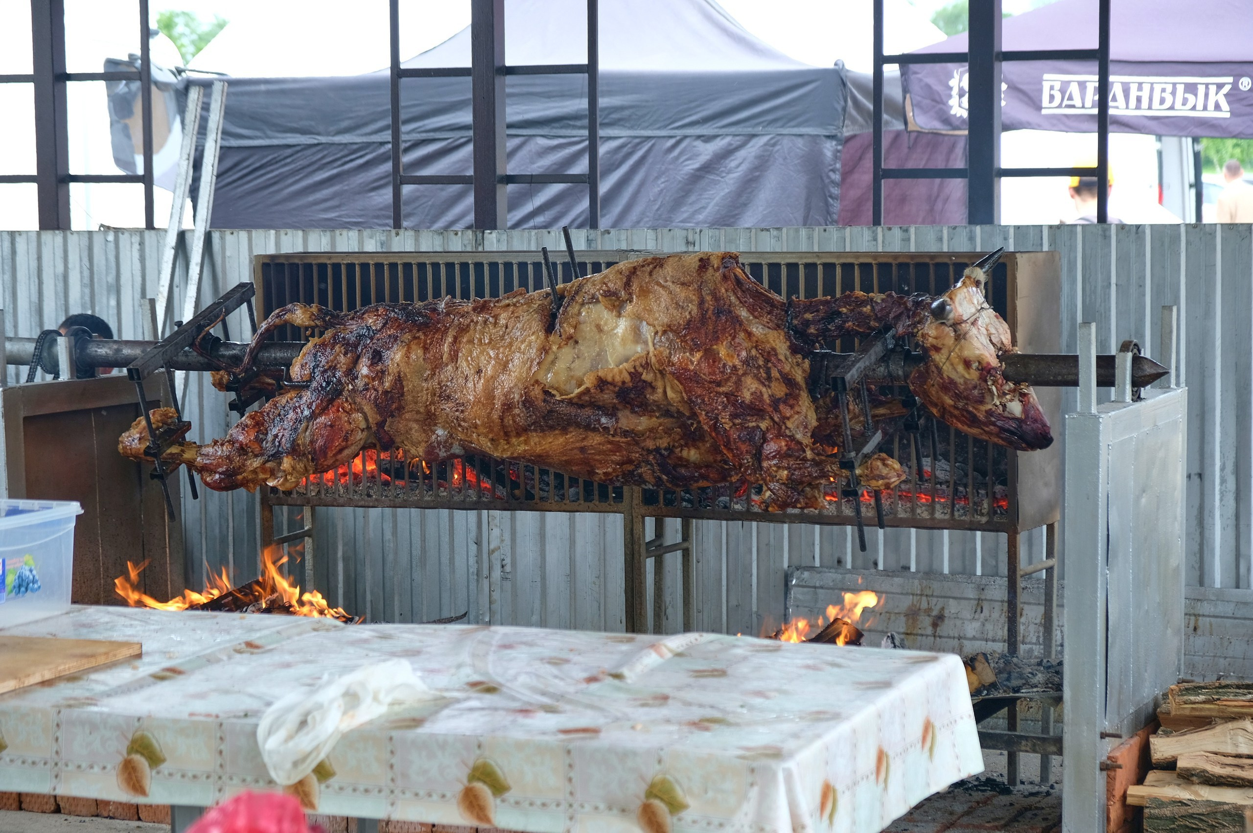 Золотая нива 2024. Предметный фотограф в Краснодаре