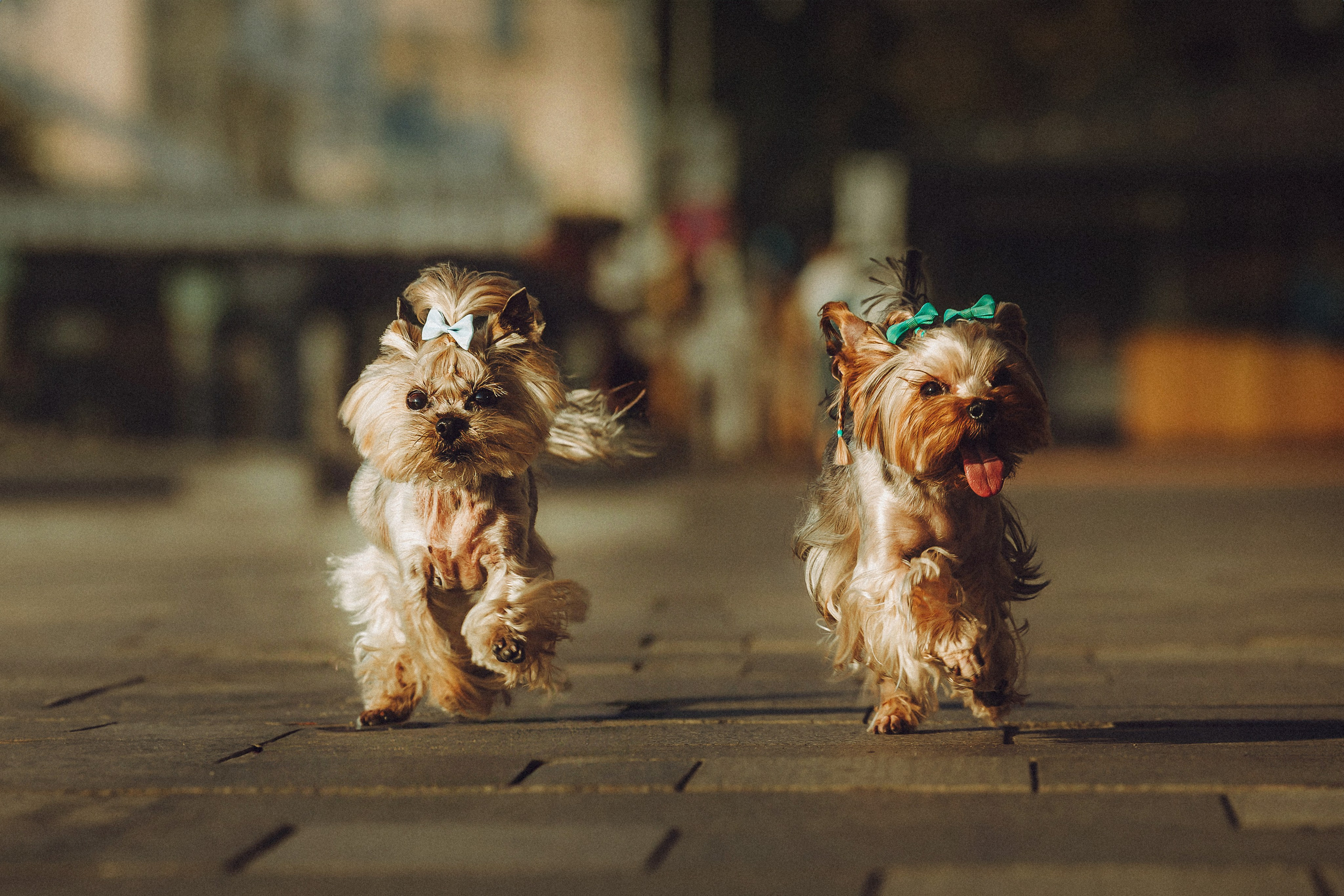 Дженни, Оливия и их семья