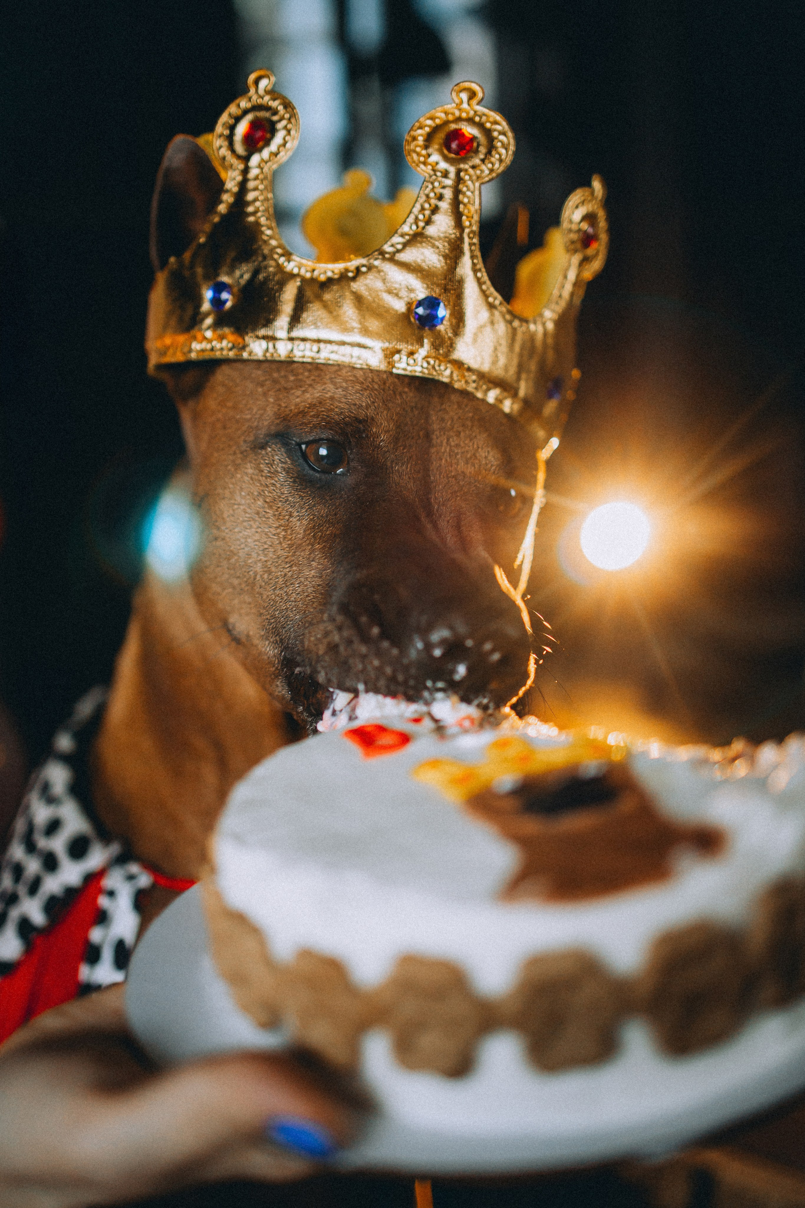 Оксана и Зевс