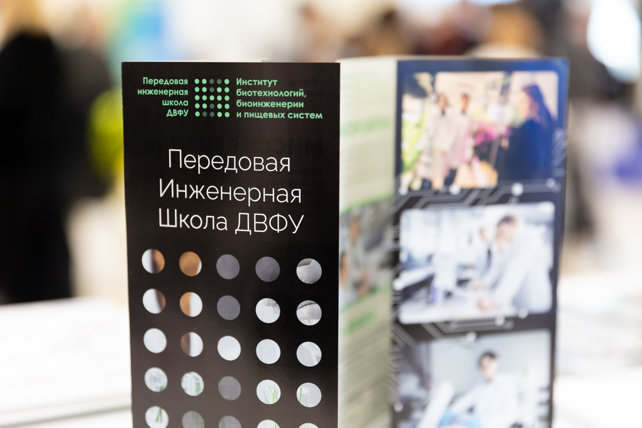 Биотехфест. Репортажный фотограф во Владивостоке