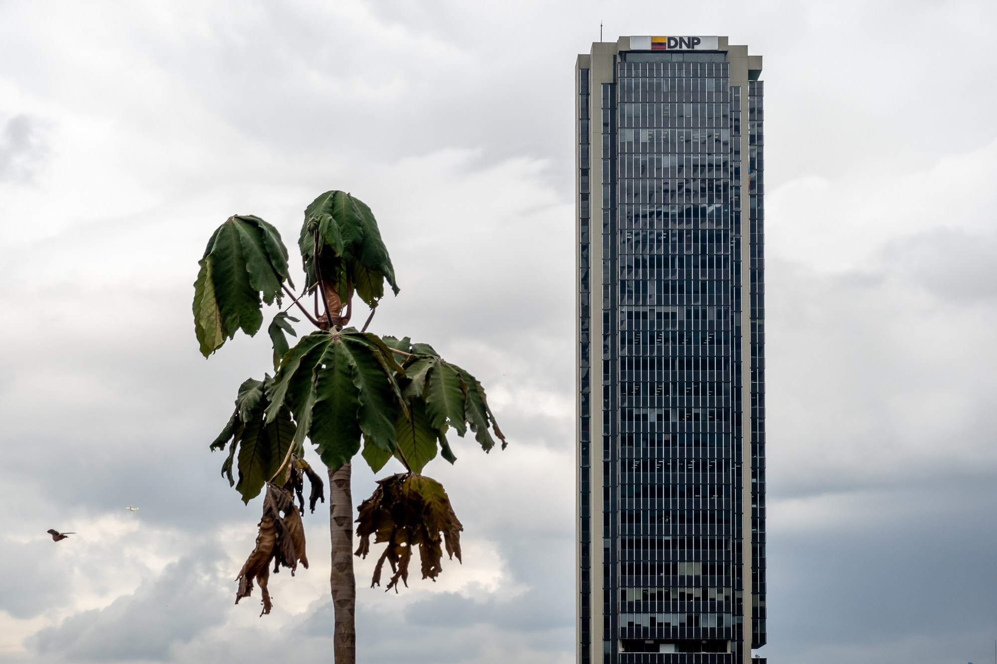 Богота, столица Колумбии. Bogotá, the capital of Colombia. Фотограф Алексей Скоробогатько